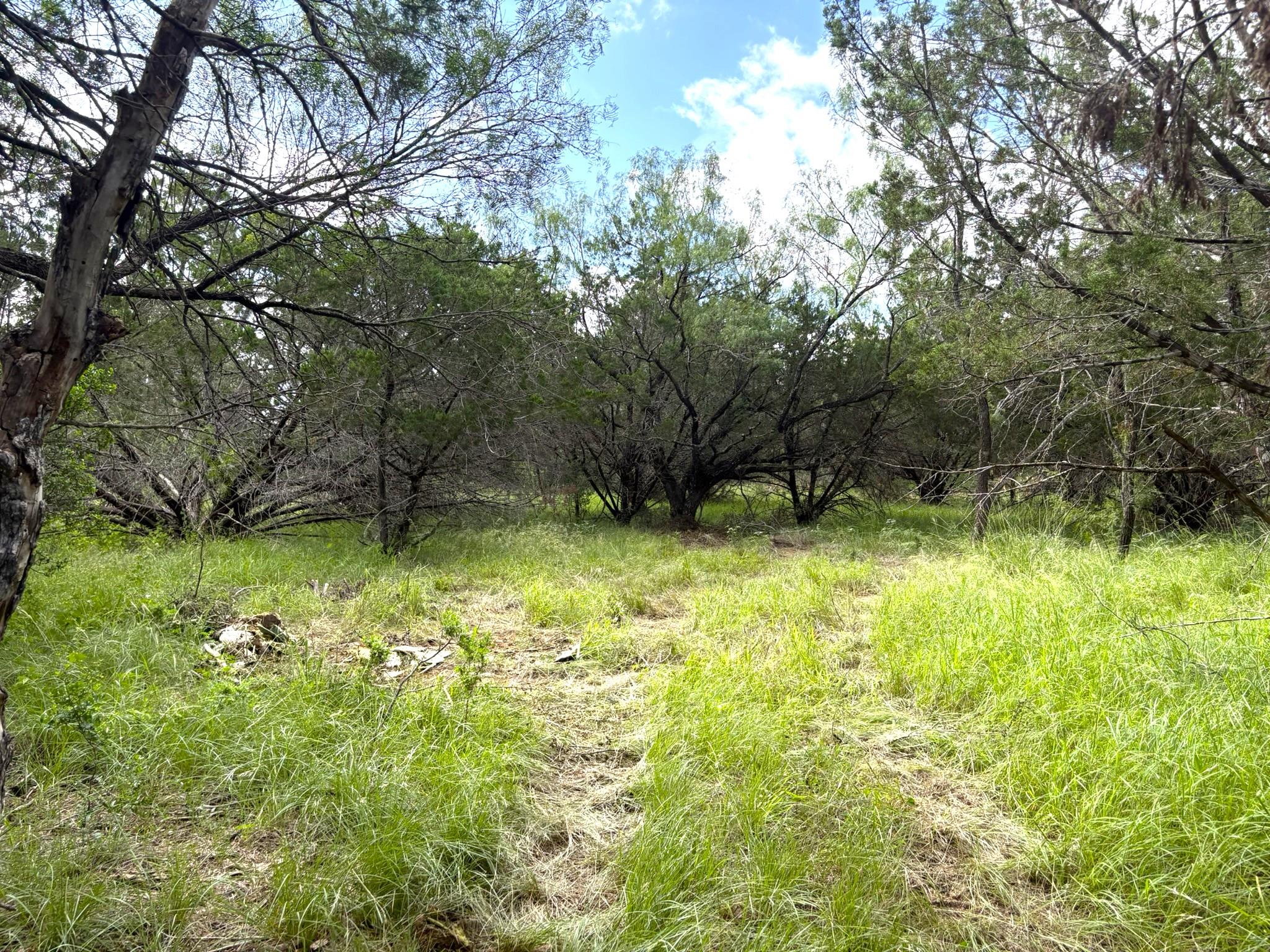 380 Sandy Mountain, Sunrise Beach, TX 78643