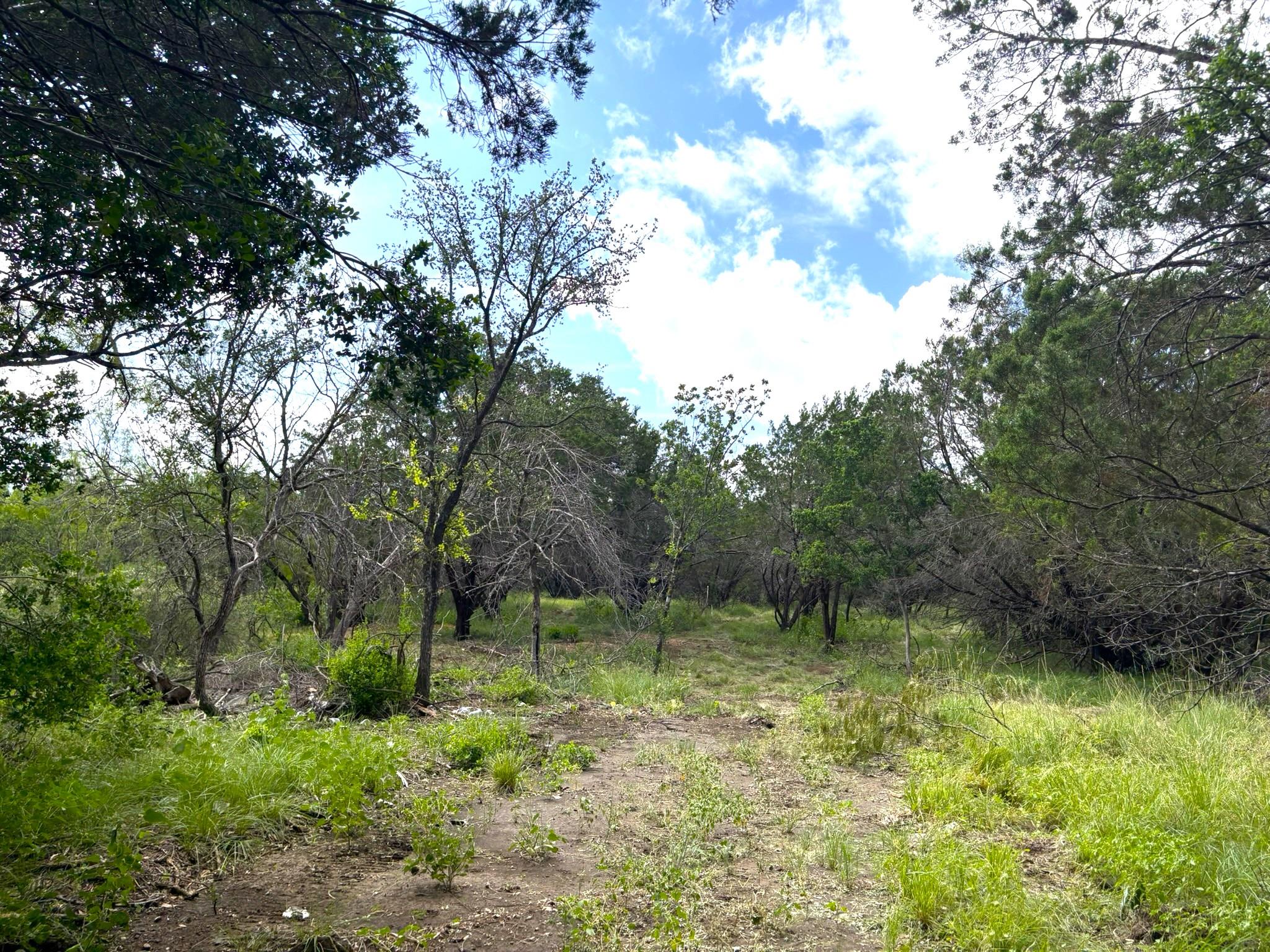 380 Sandy Mountain, Sunrise Beach, TX 78643