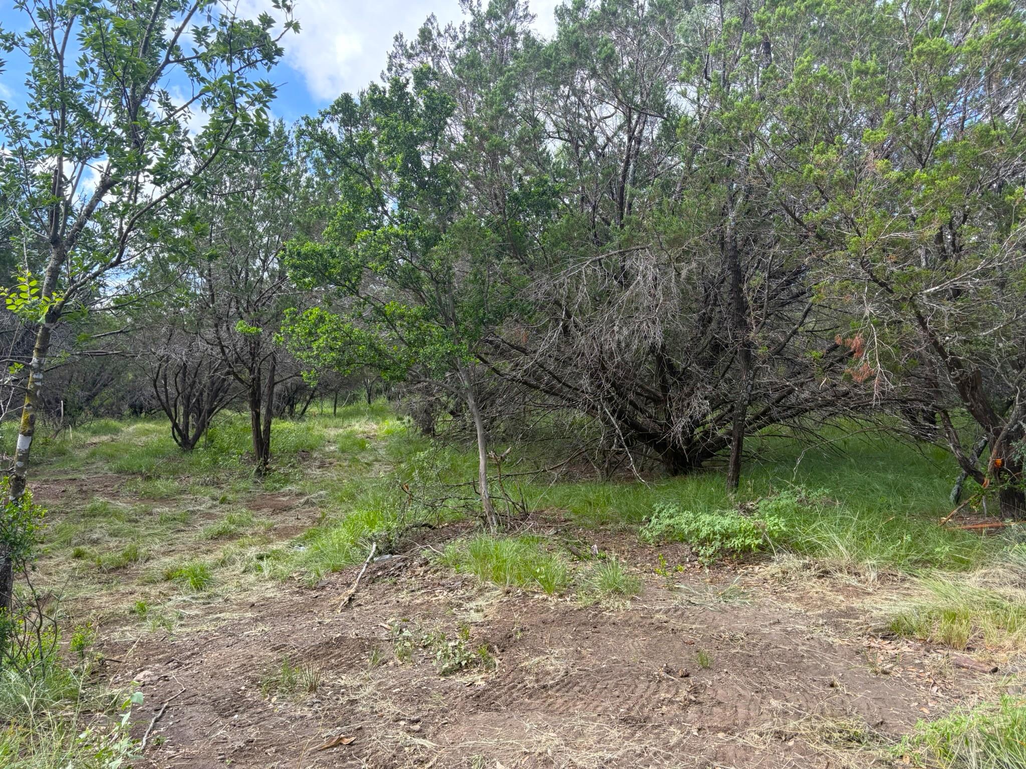 380 Sandy Mountain, Sunrise Beach, TX 78643