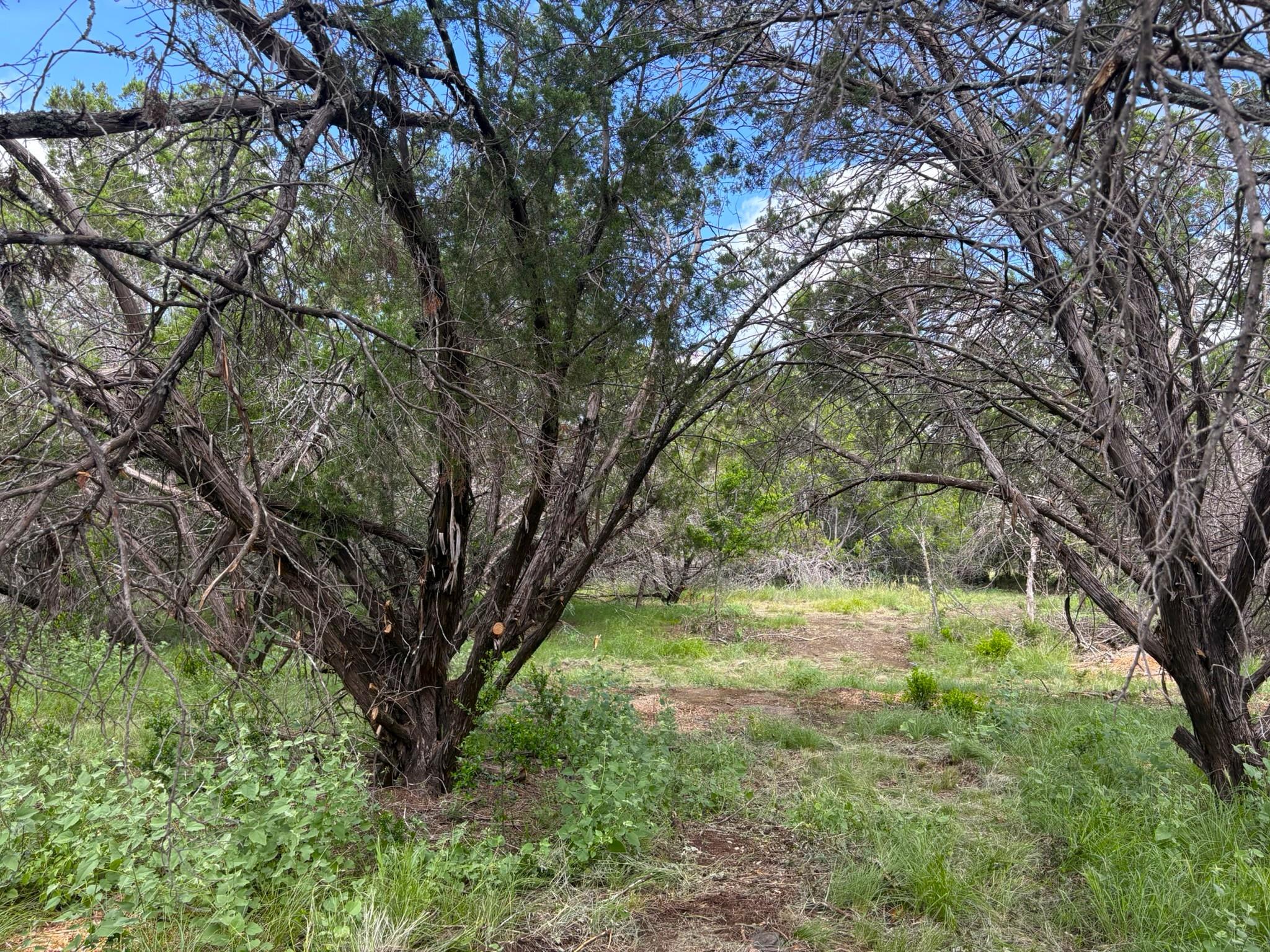 380 Sandy Mountain, Sunrise Beach, TX 78643