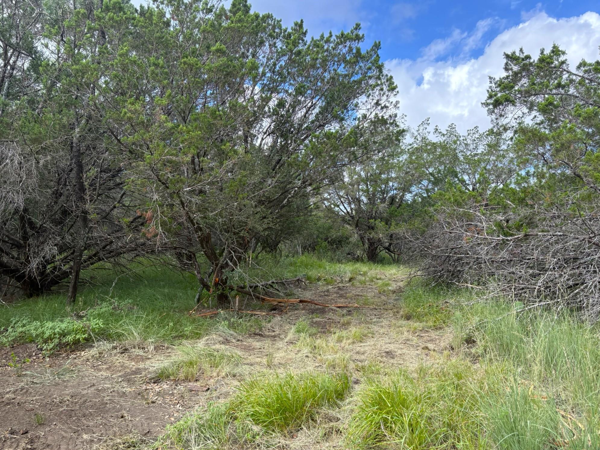 380 Sandy Mountain, Sunrise Beach, TX 78643