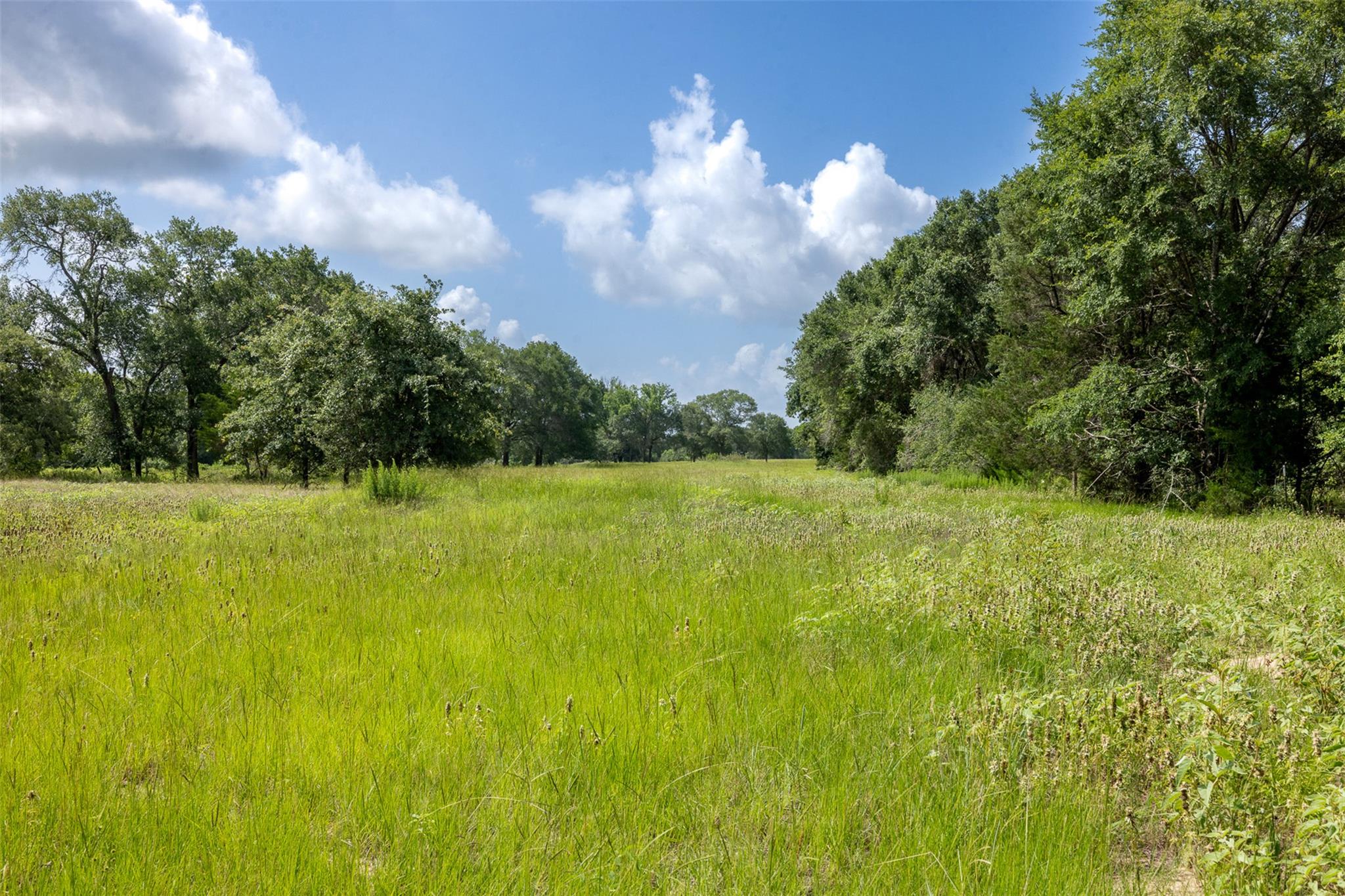 4046 State Highway 21, Caldwell, TX 77835