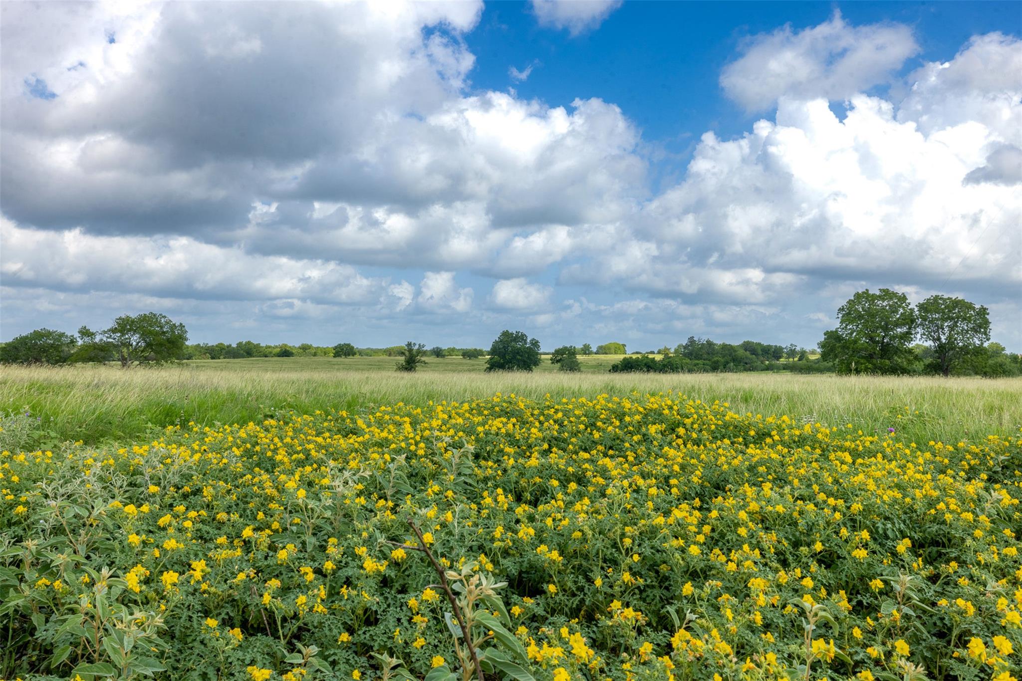 4046 State Highway 21, Caldwell, TX 77835