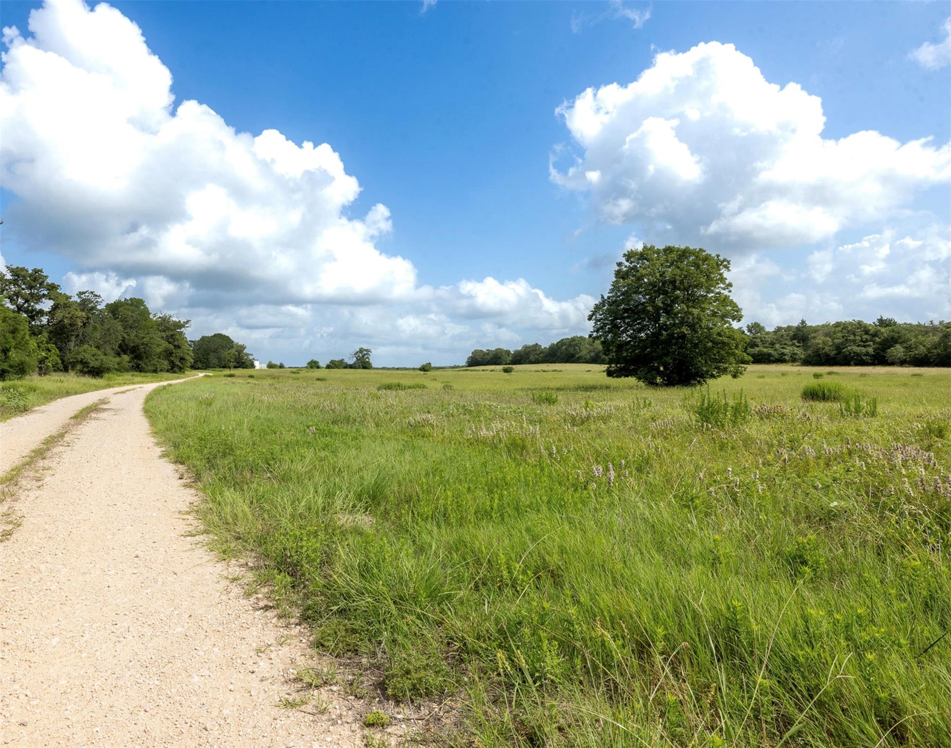 4046 State Highway 21, Caldwell, TX 77835