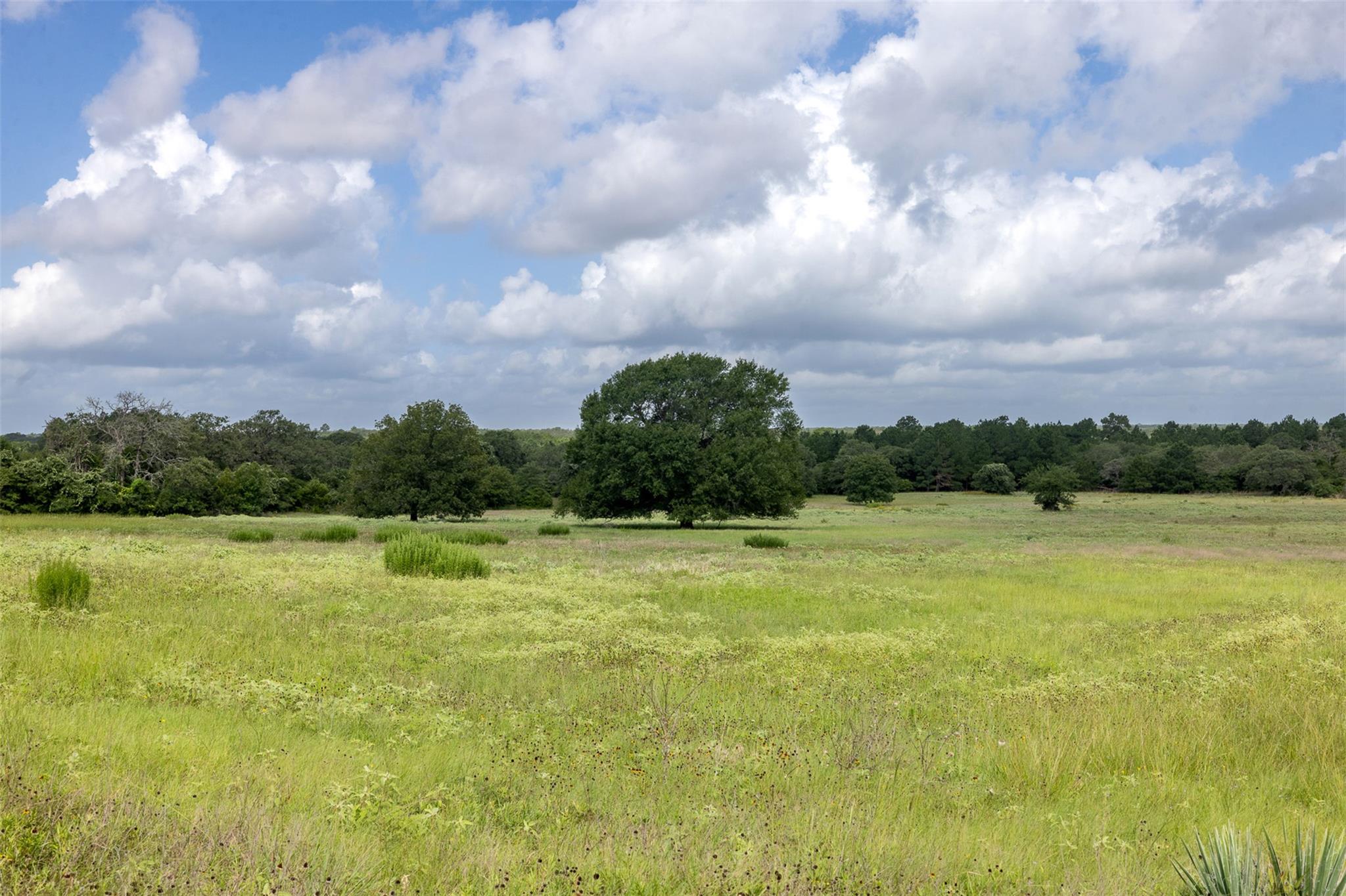 4046 State Highway 21, Caldwell, TX 77835