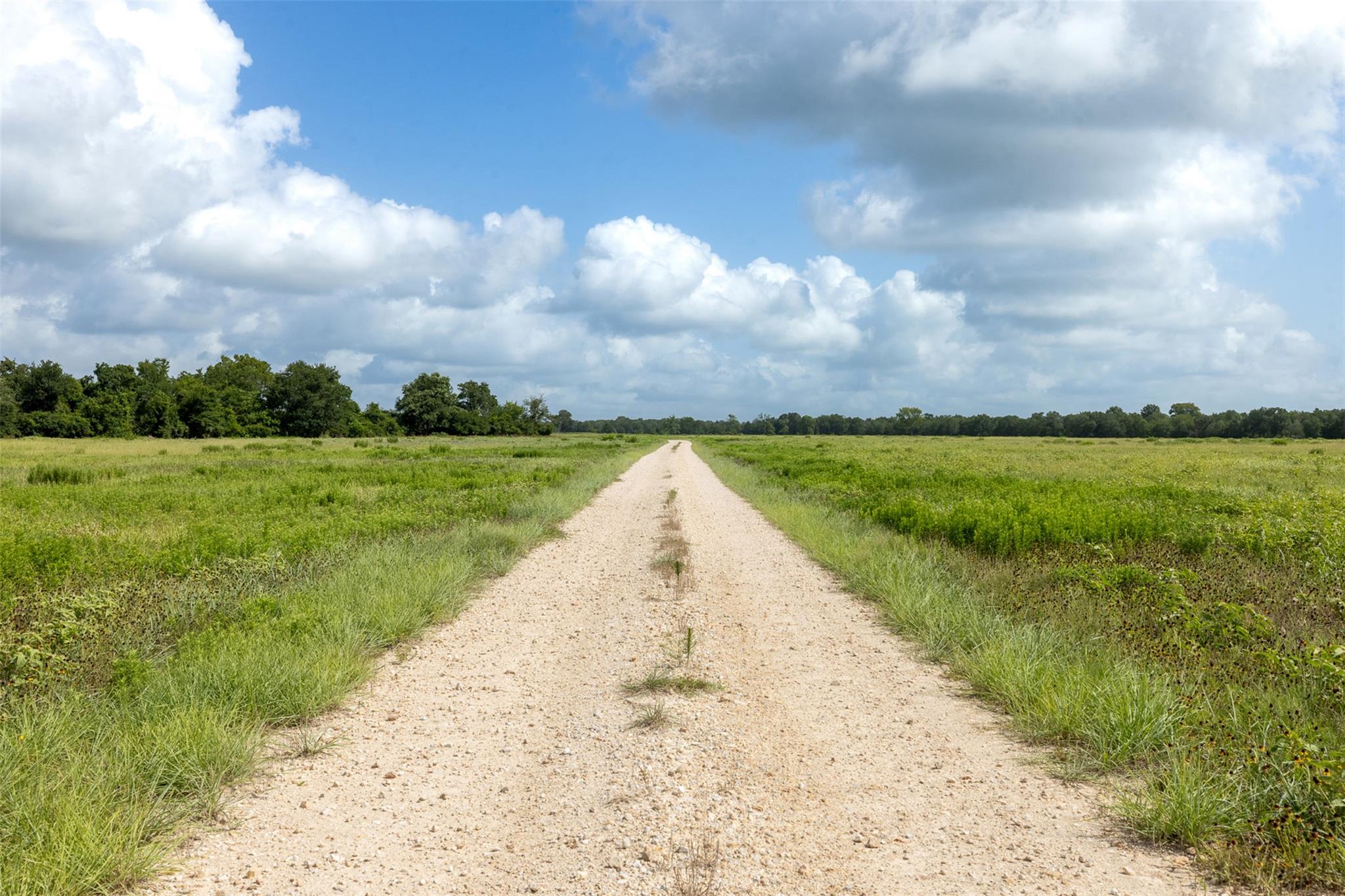 4046 State Highway 21, Caldwell, TX 77835