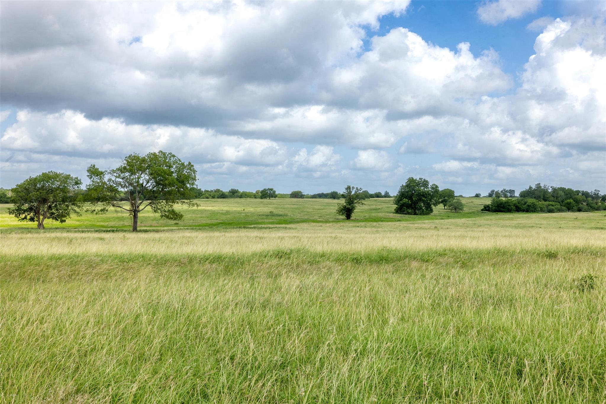 4046 State Highway 21, Caldwell, TX 77835