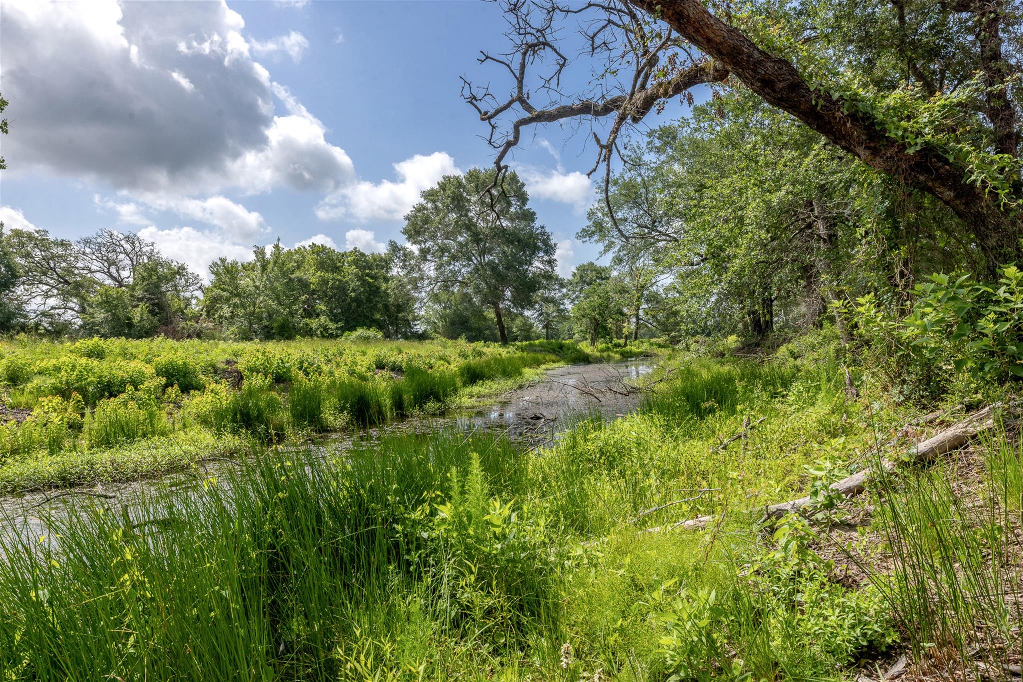 4046 State Highway 21, Caldwell, TX 77835