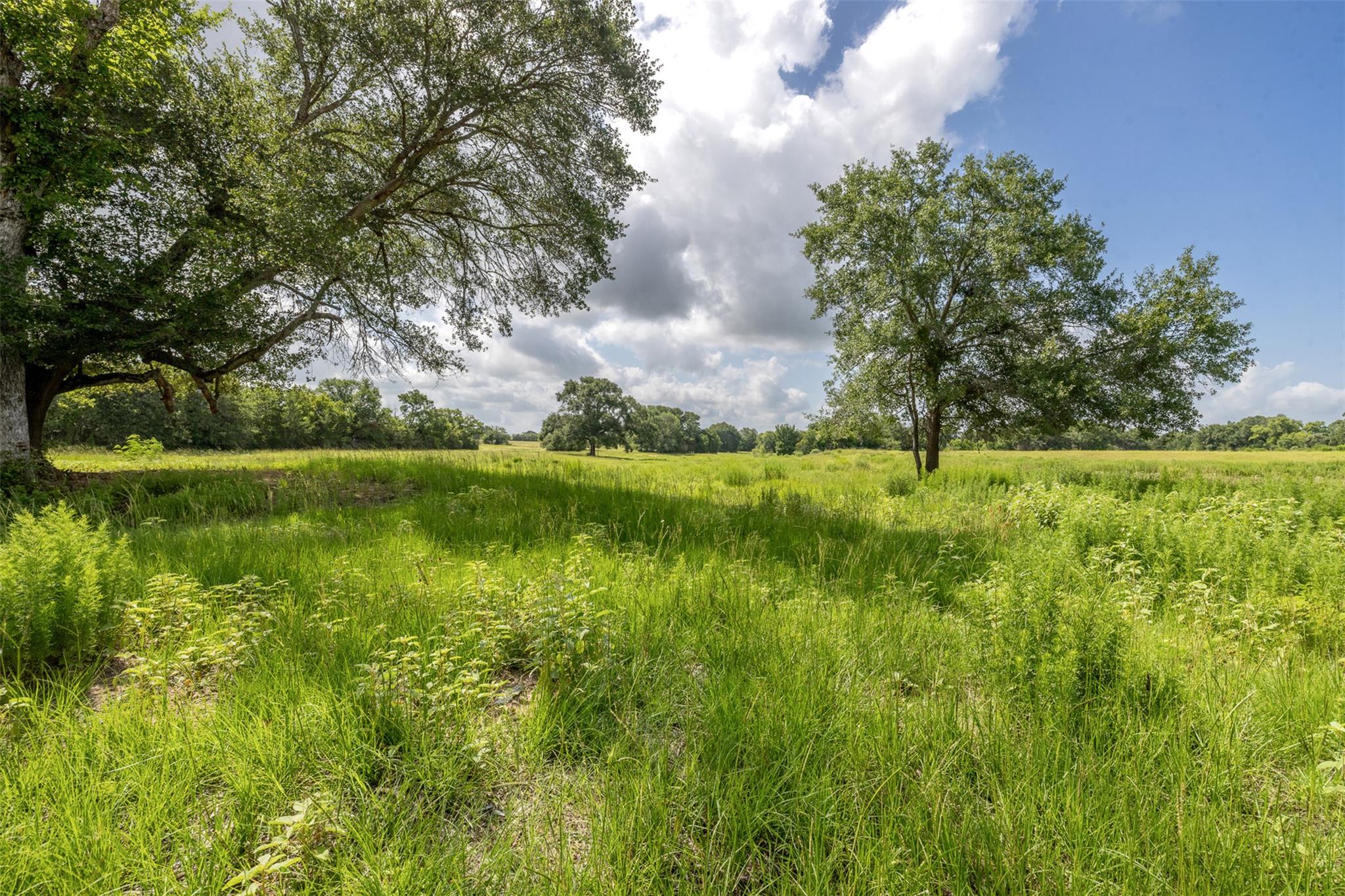 4046 State Highway 21, Caldwell, TX 77835