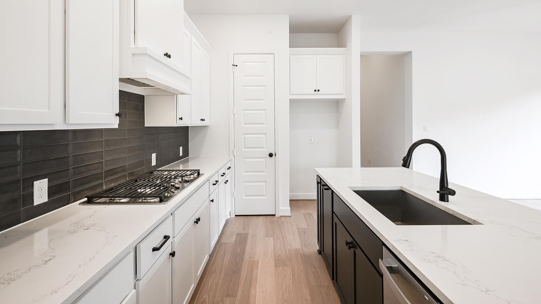 251 Basket Flower Loop, Kyle, TX 78640