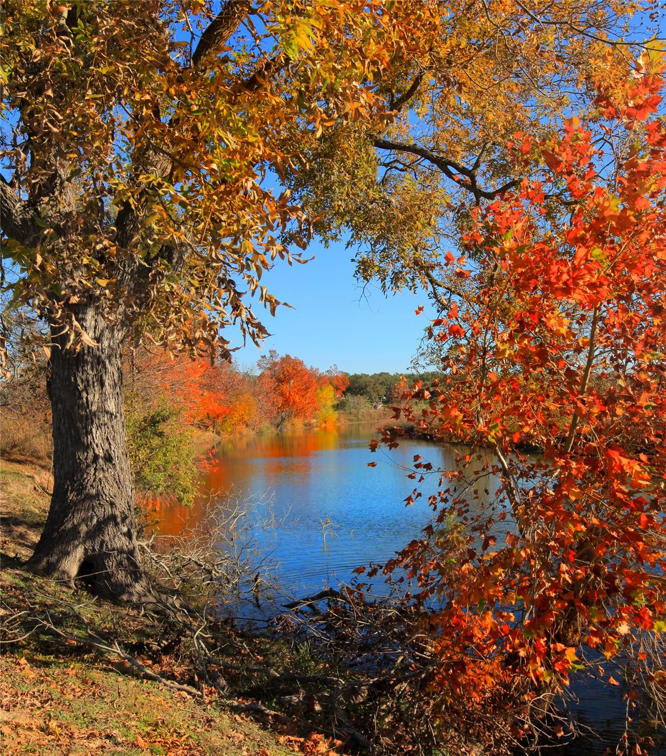 205 Waters View Ct, Dripping Springs, TX 78620