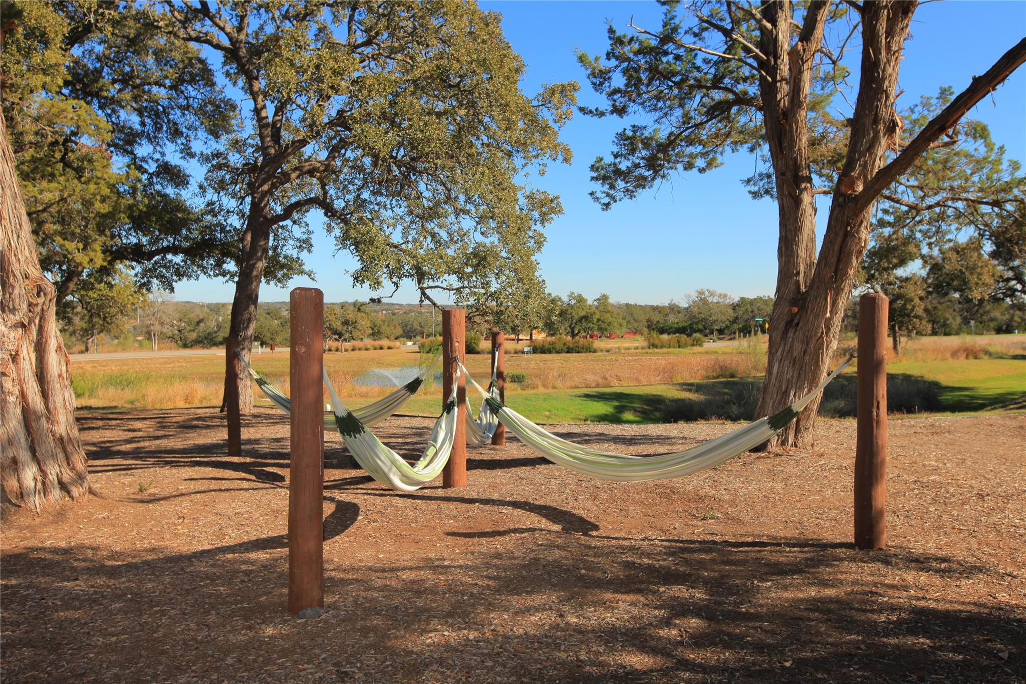 205 Waters View Ct, Dripping Springs, TX 78620