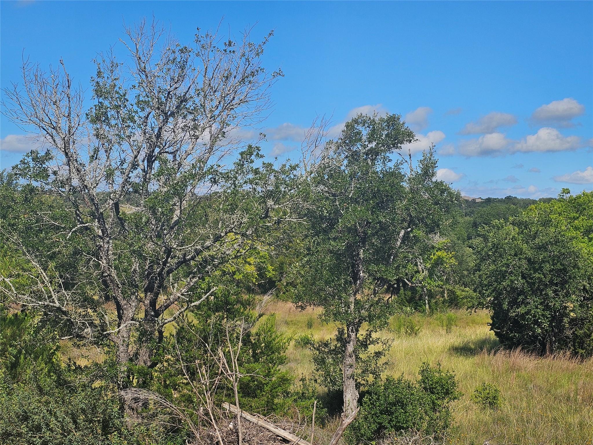 205 Waters View Ct, Dripping Springs, TX 78620