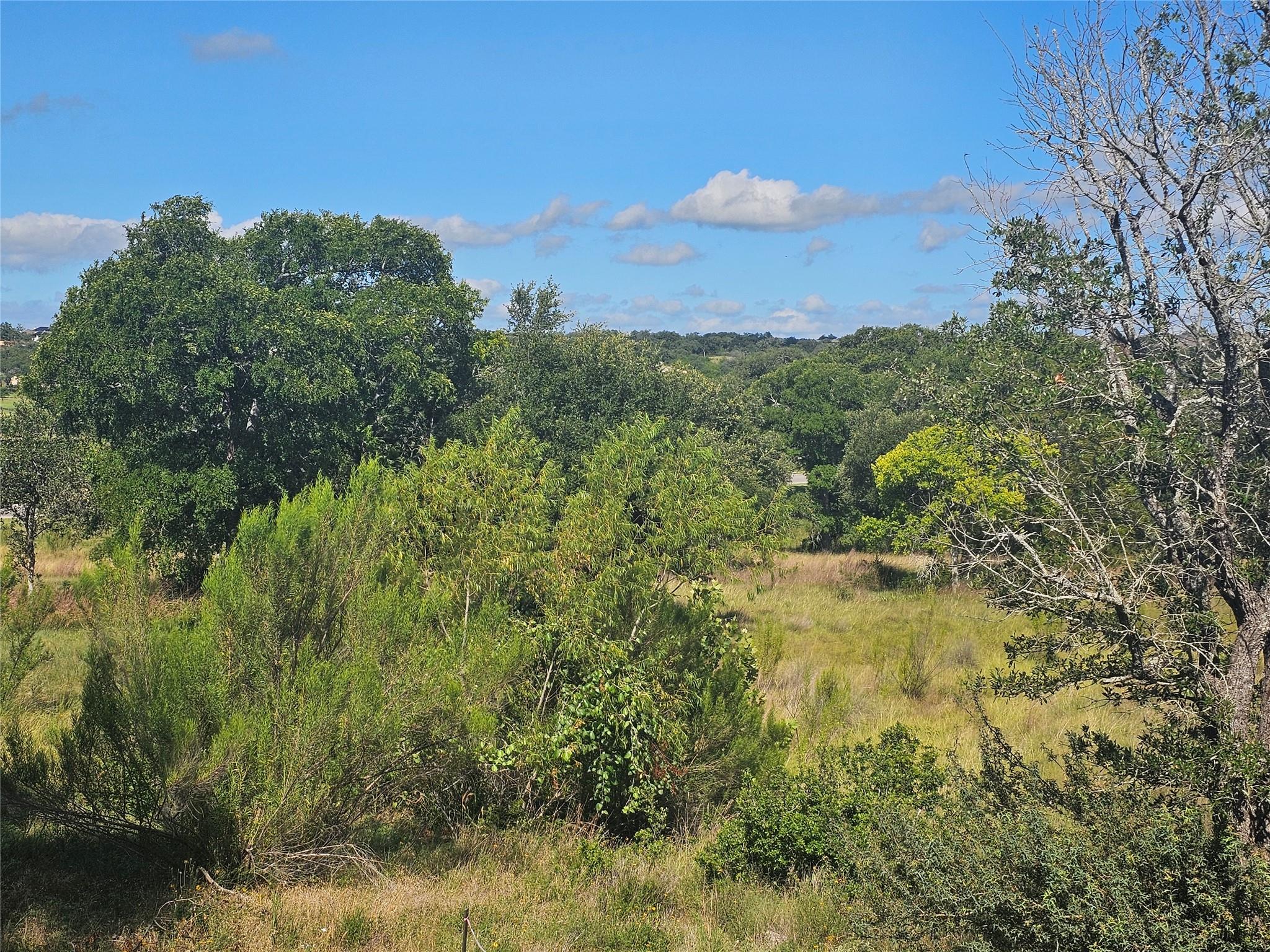 205 Waters View Ct, Dripping Springs, TX 78620