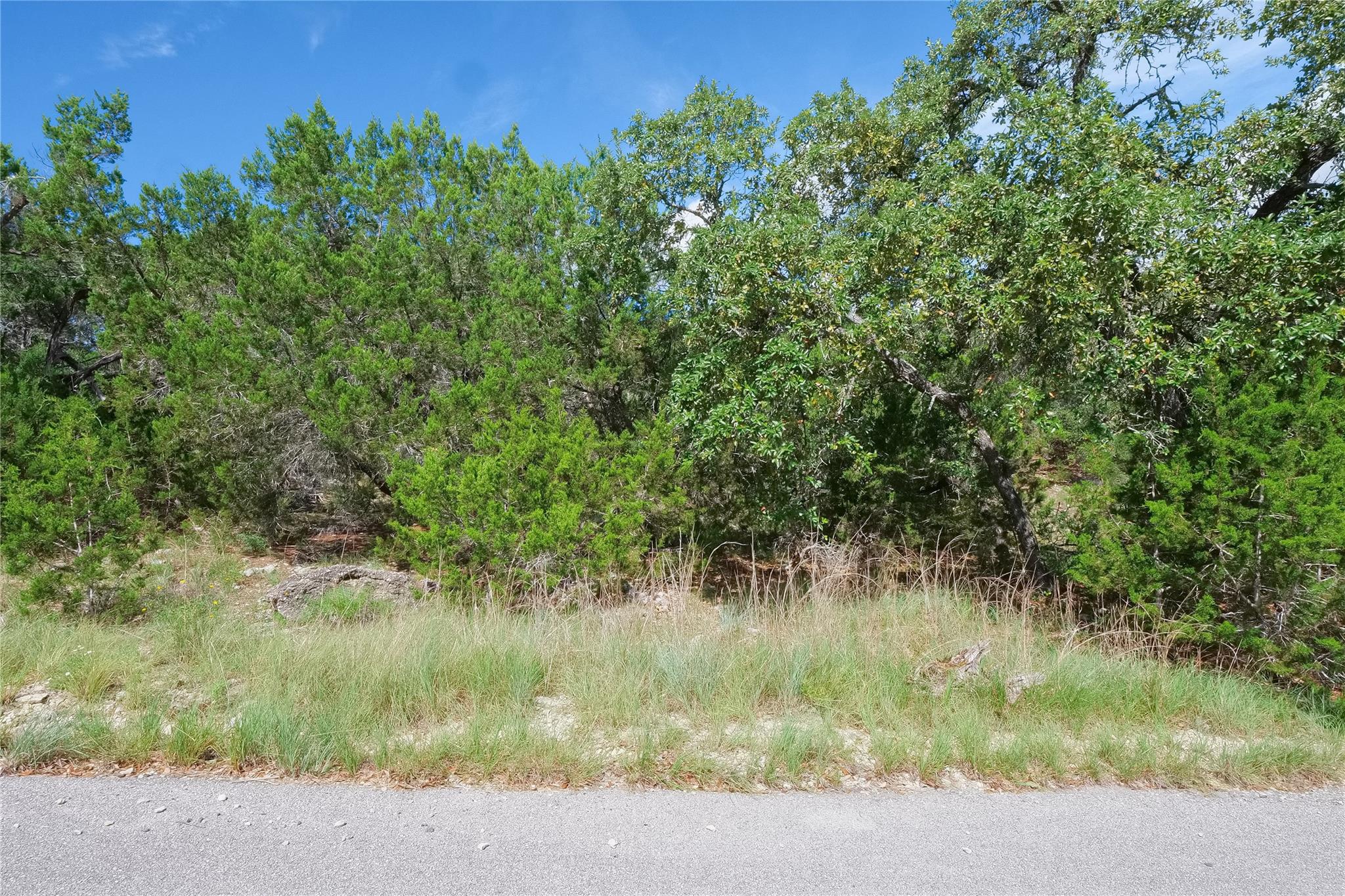 22312 Briarcliff Dr, Briarcliff, TX 78669