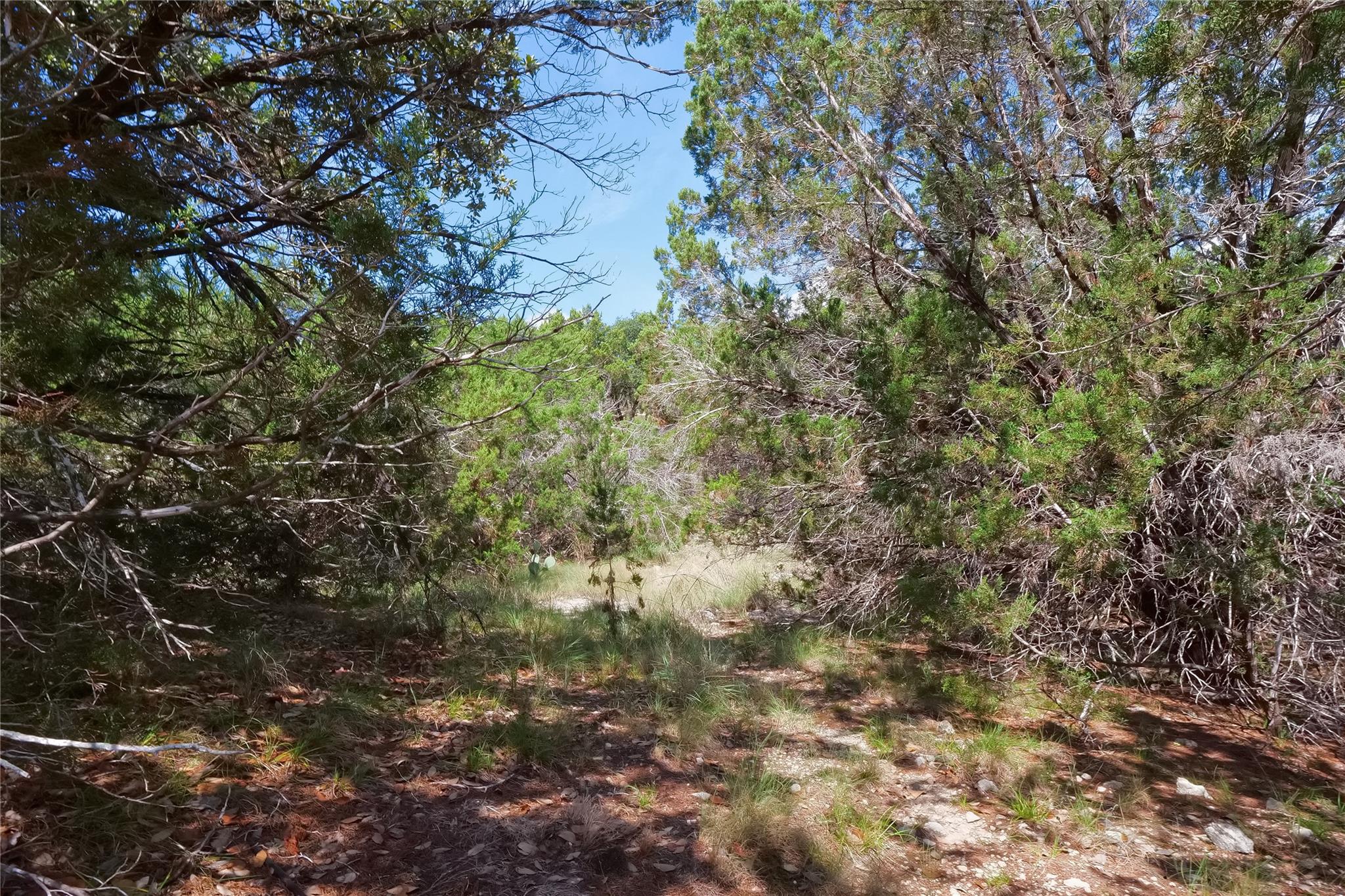 22312 Briarcliff Dr, Briarcliff, TX 78669