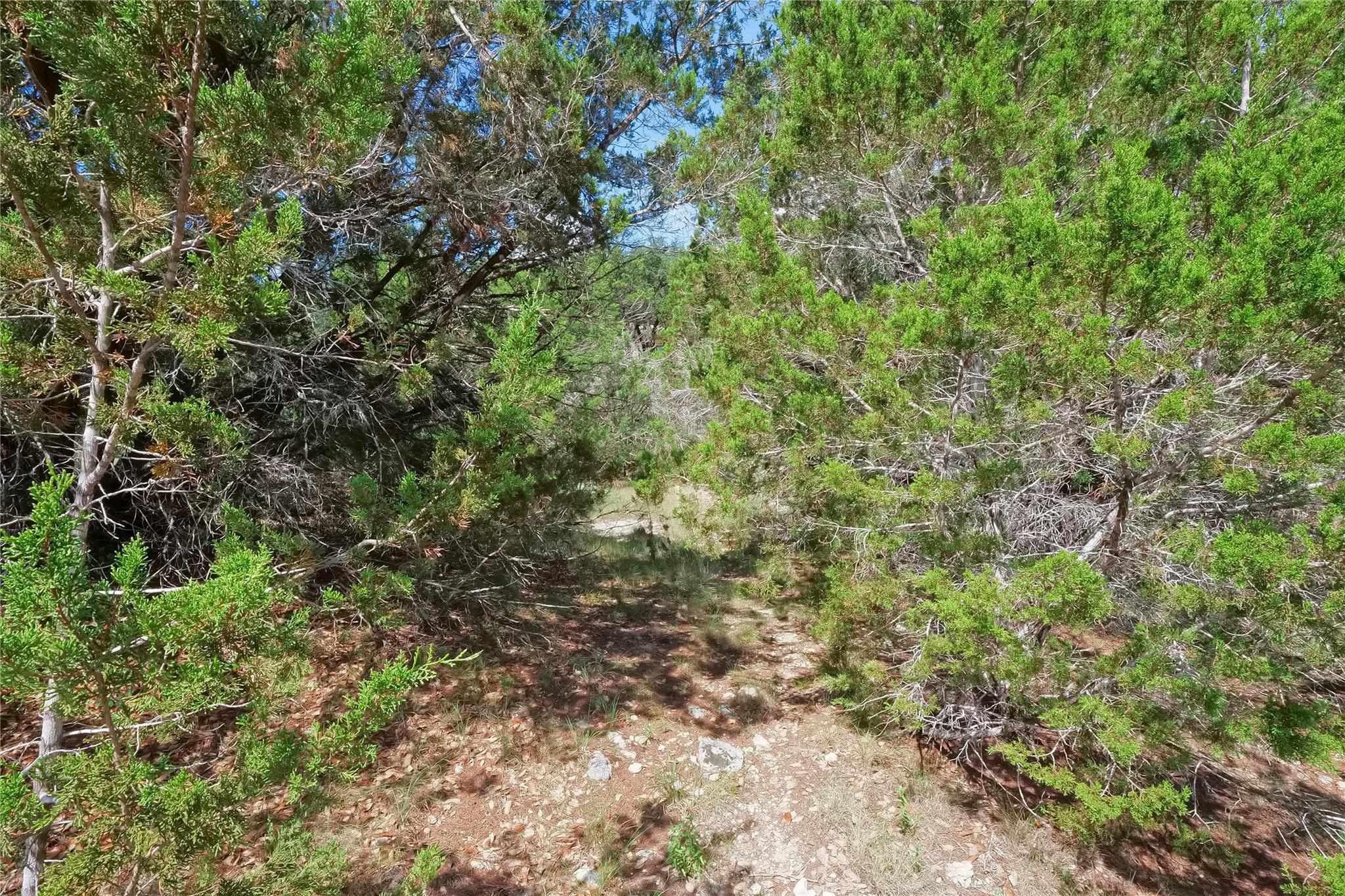 22312 Briarcliff Dr, Briarcliff, TX 78669