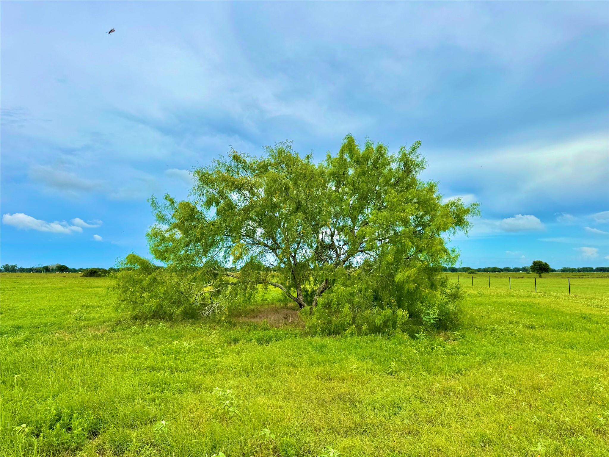 TBD Tract 105 Pin Tail Ln, Columbus, TX 78934