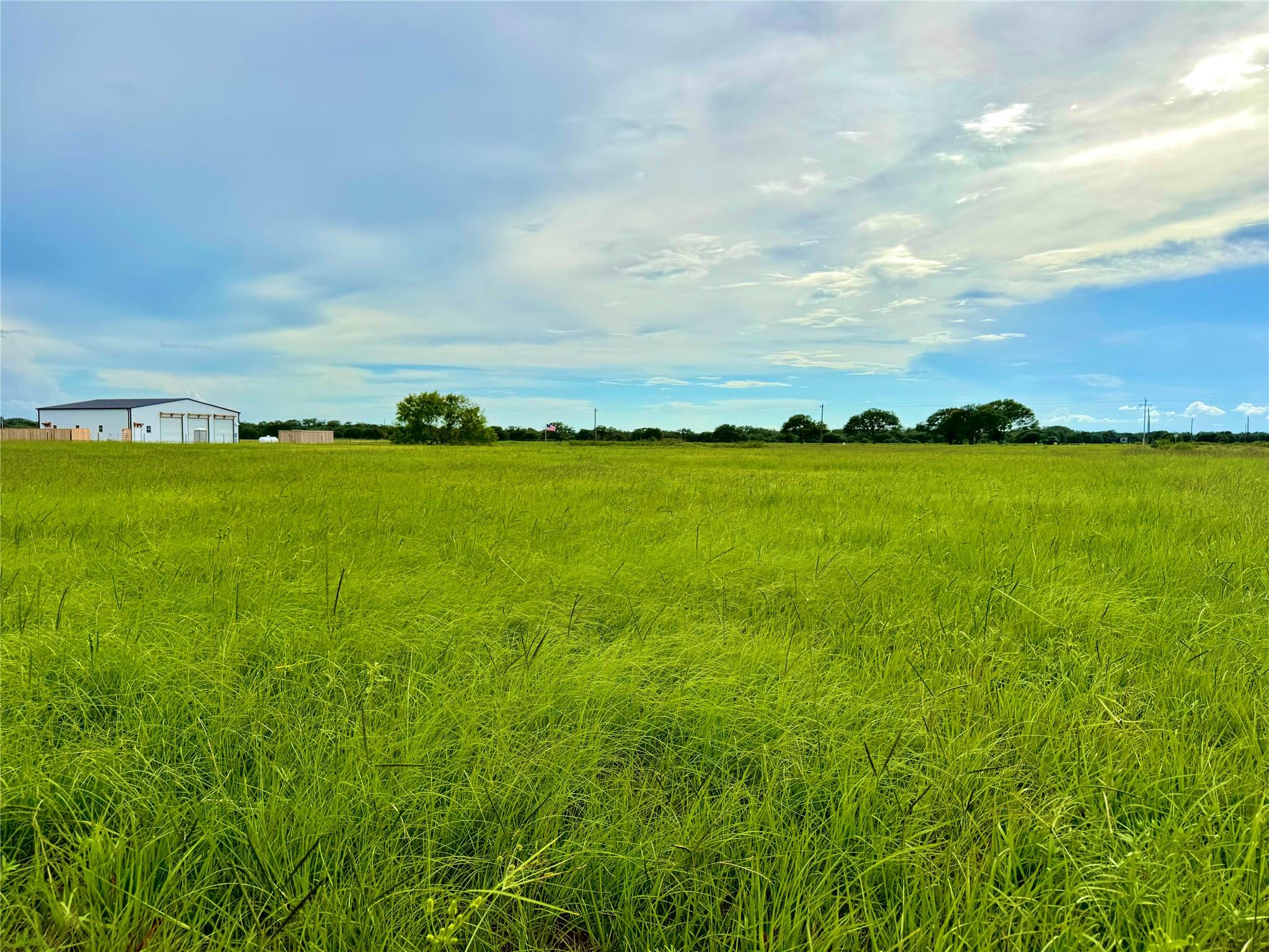 TBD Tract 105 Pin Tail Ln, Columbus, TX 78934