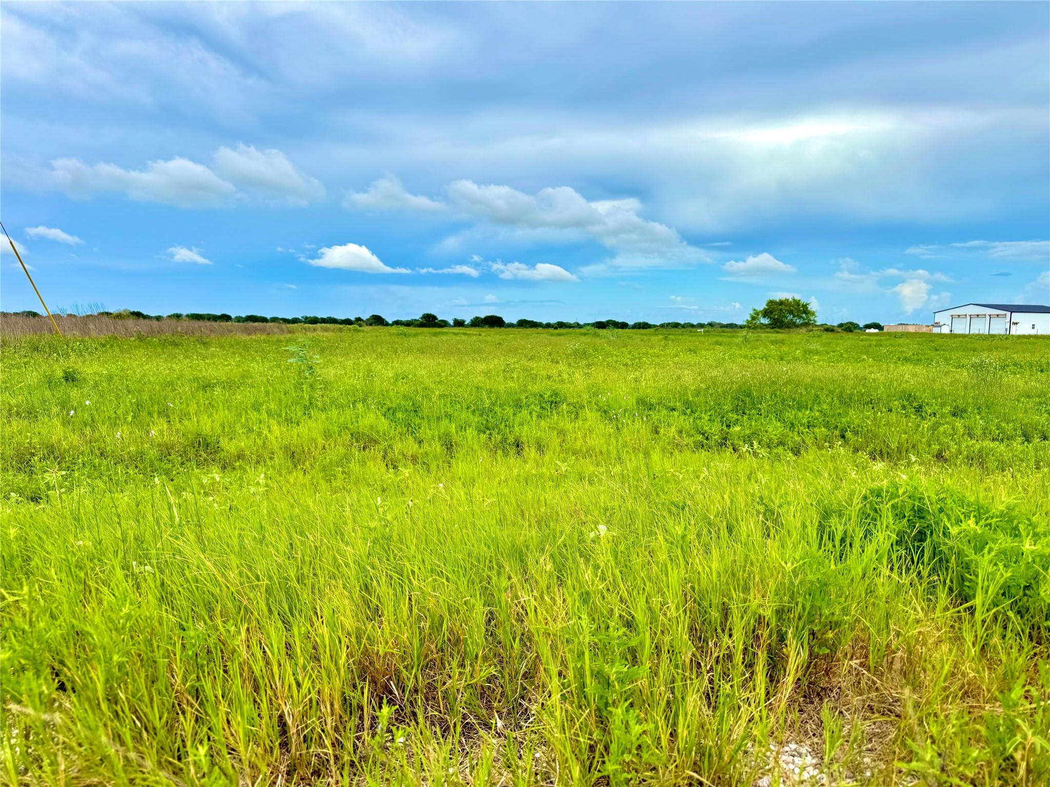 TBD Tract 105 Pin Tail Ln, Columbus, TX 78934