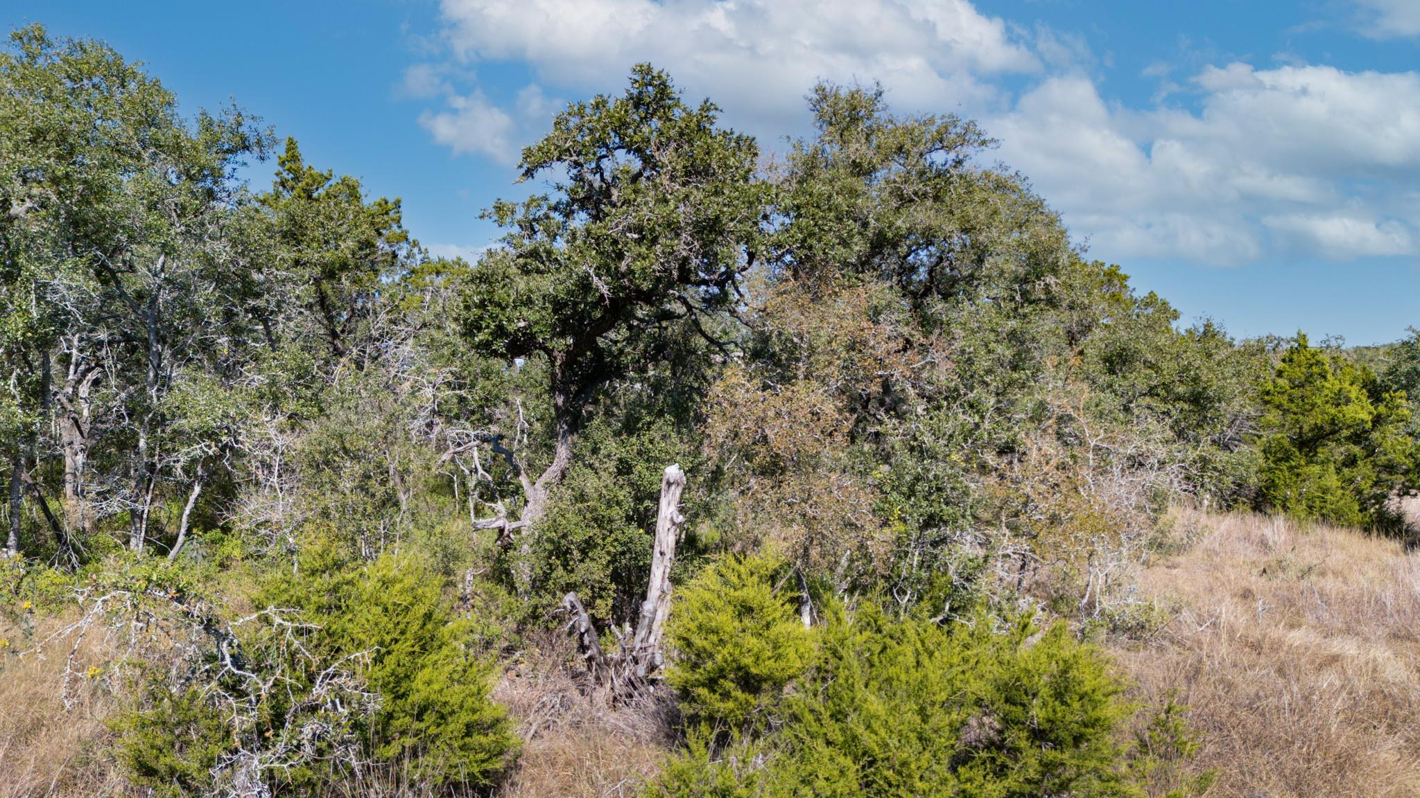 600 Summit Pass, San Marcos, TX 78666