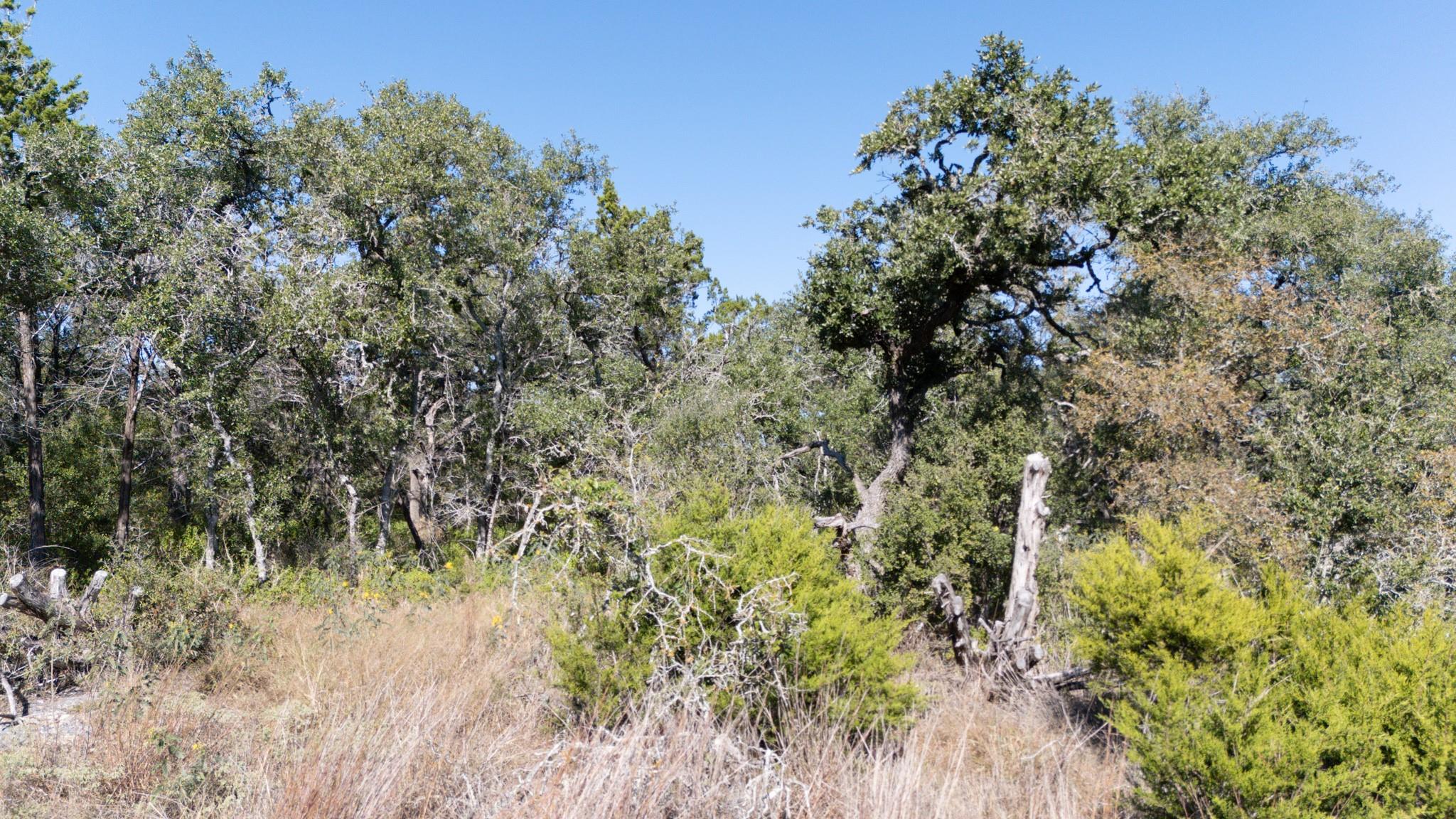 600 Summit Pass, San Marcos, TX 78666