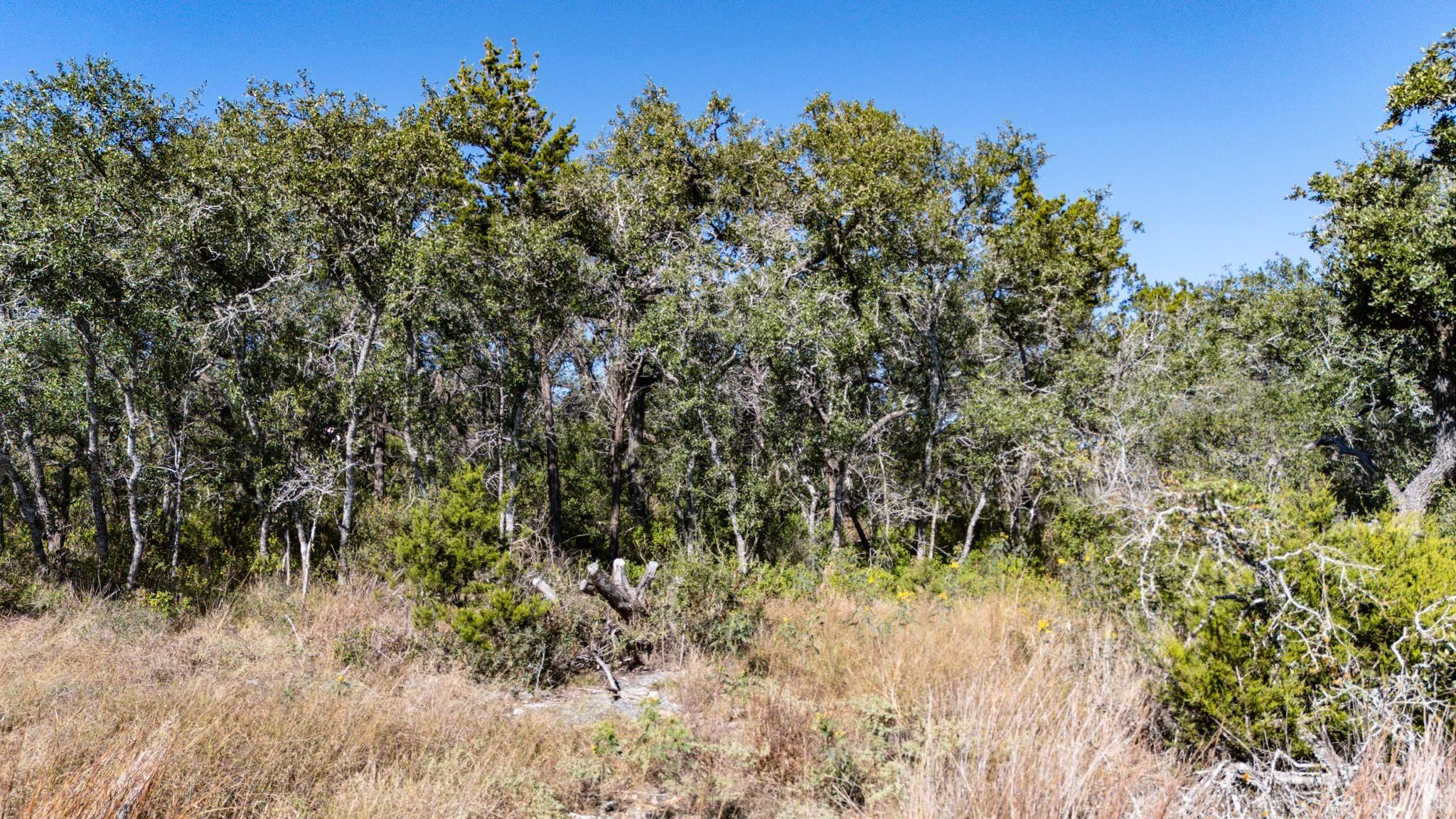 600 Summit Pass, San Marcos, TX 78666