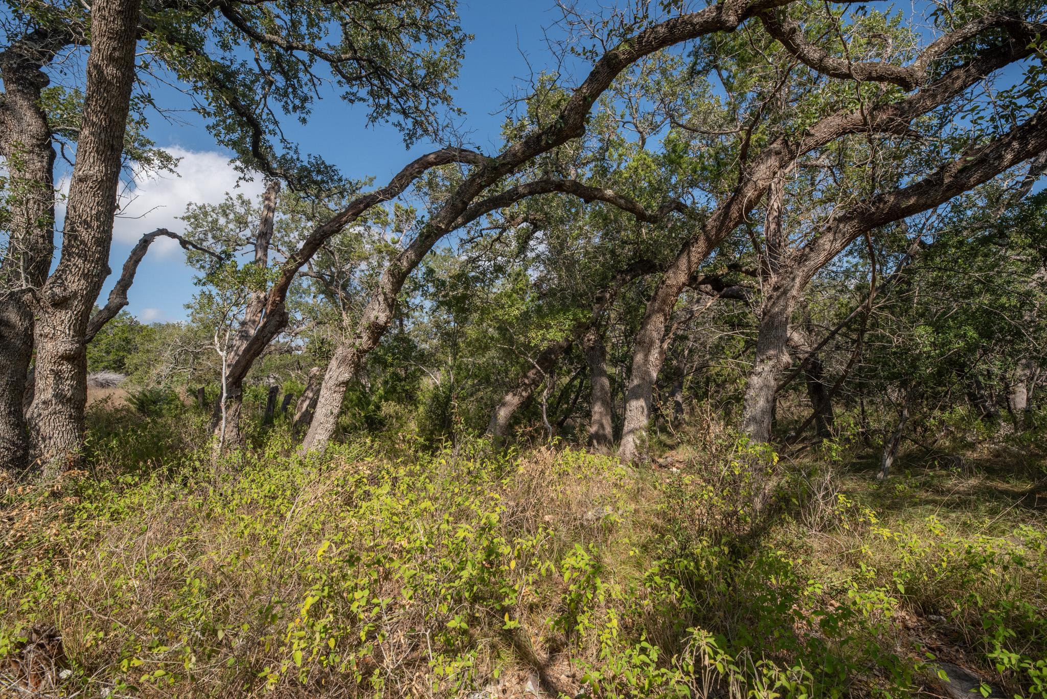 600 Summit Pass, San Marcos, TX 78666