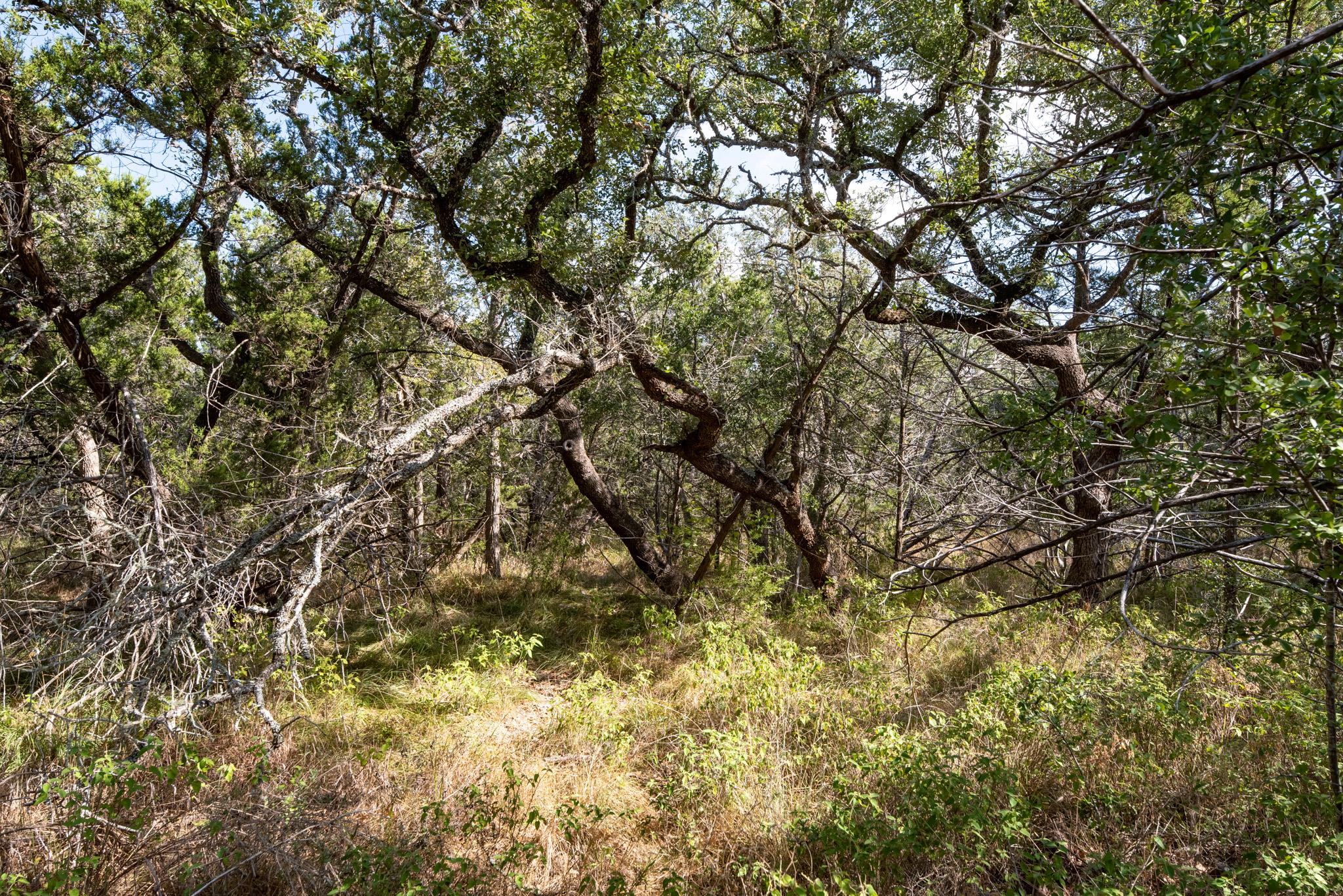 600 Summit Pass, San Marcos, TX 78666