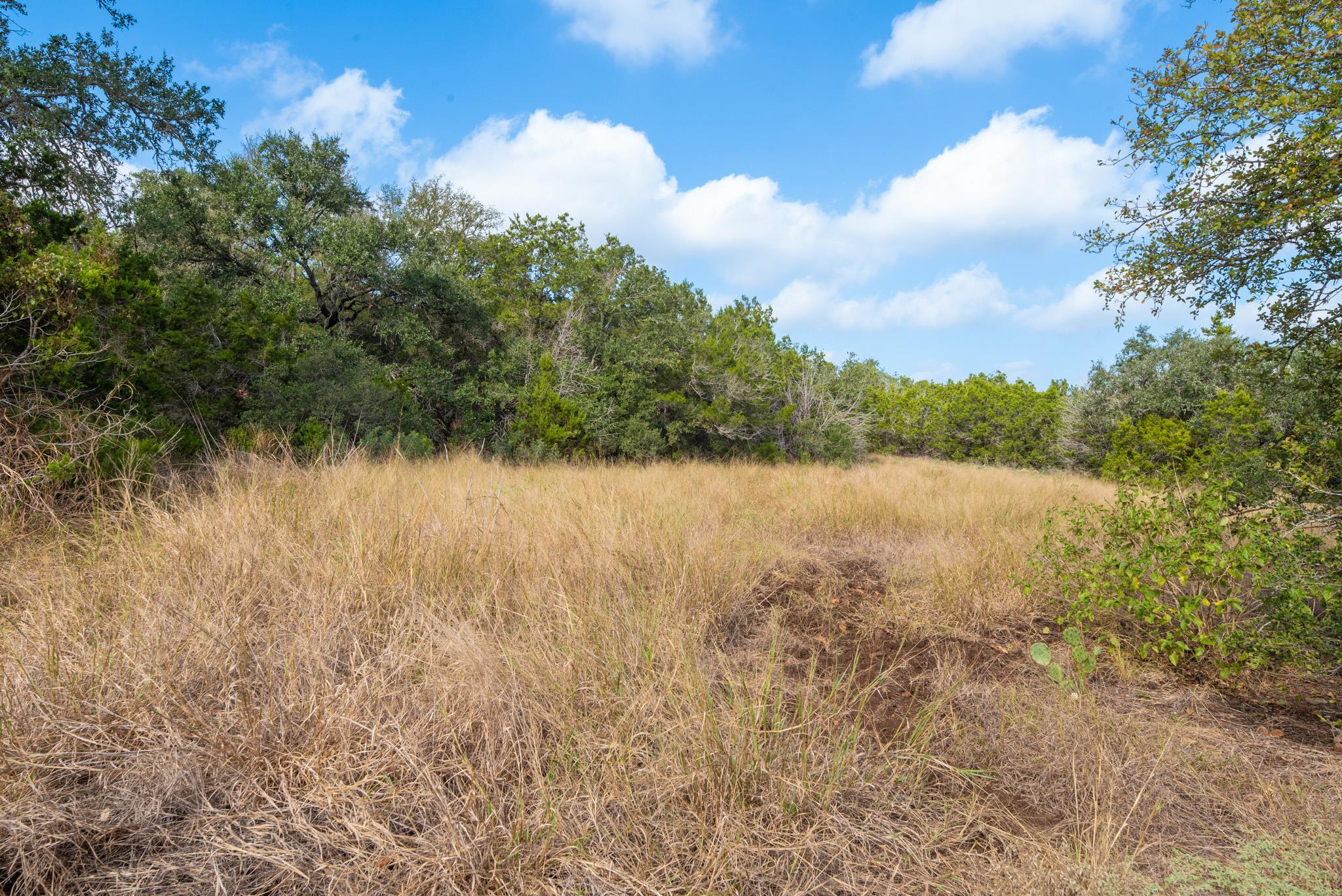 600 Summit Pass, San Marcos, TX 78666