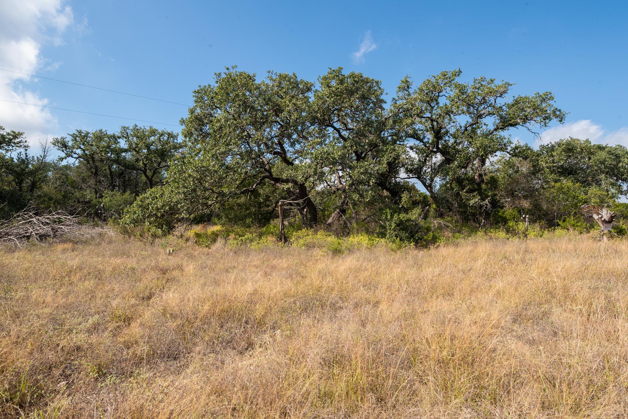 600 Summit Pass, San Marcos, TX 78666