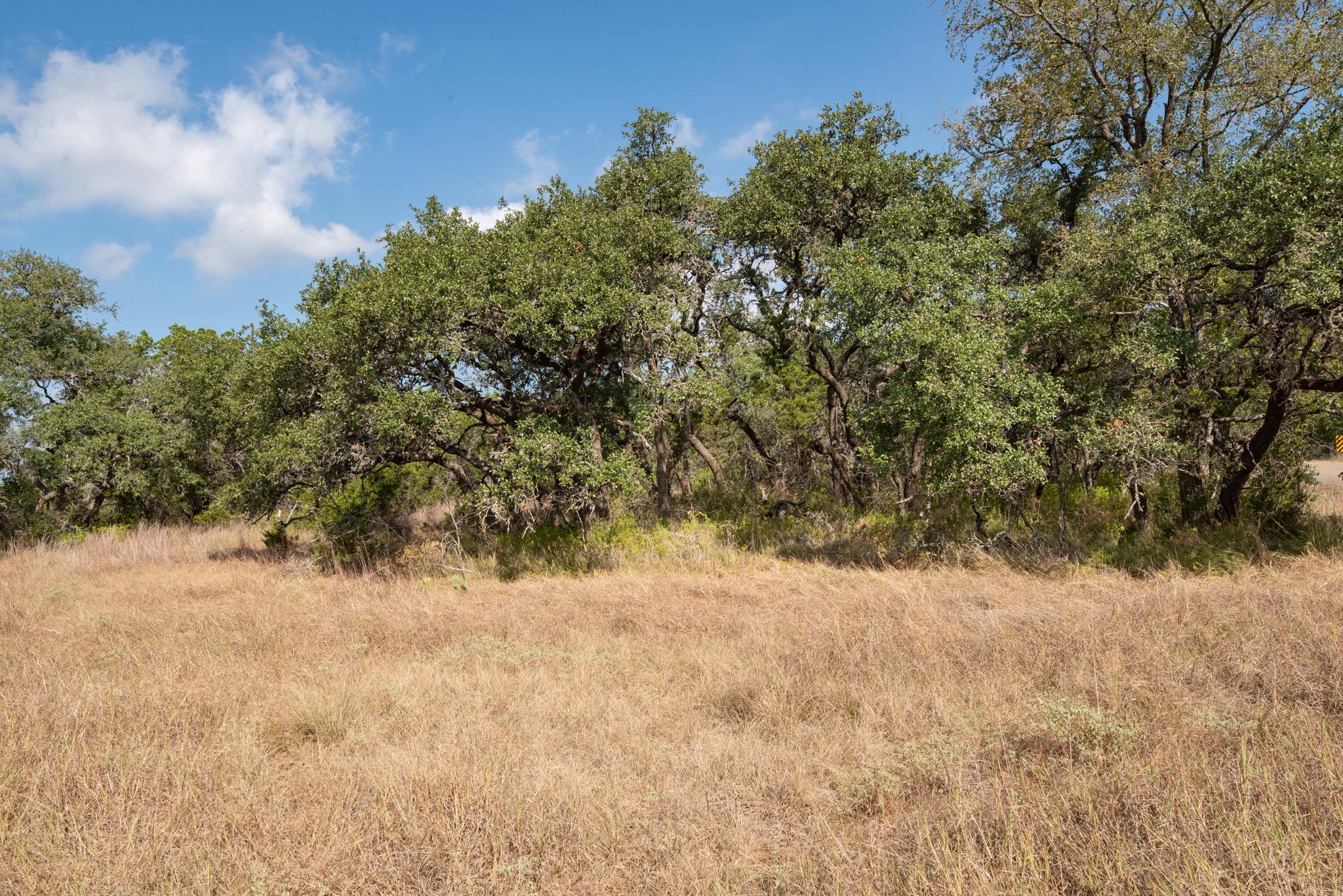 600 Summit Pass, San Marcos, TX 78666