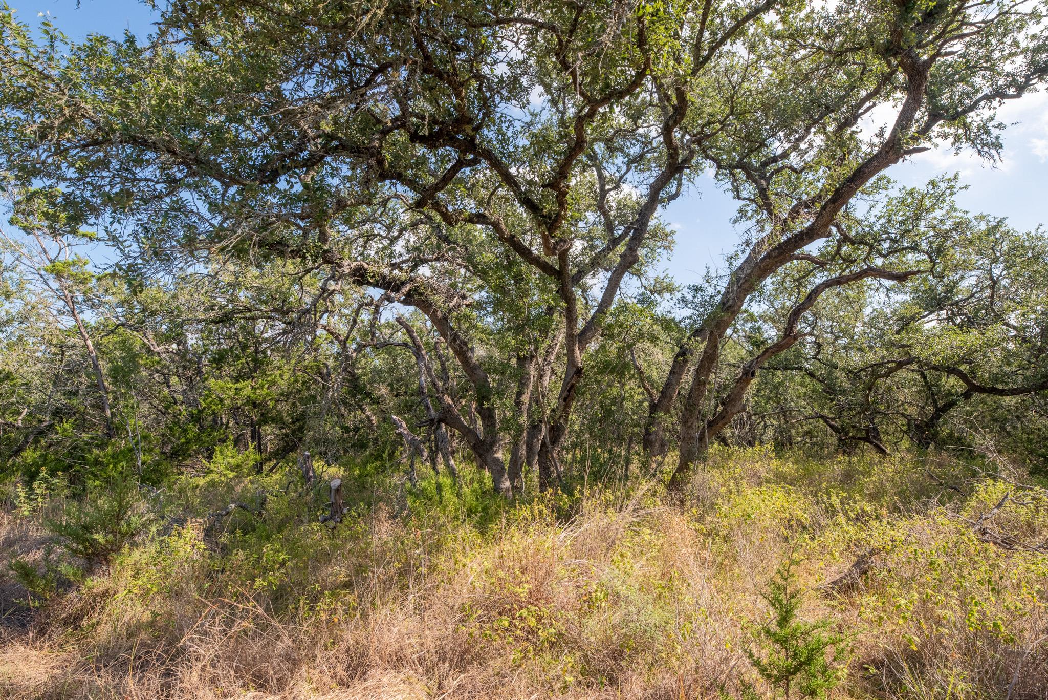 600 Summit Pass, San Marcos, TX 78666