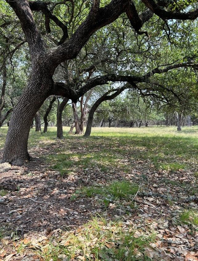 00 Old Red Ranch Rd, Dripping Springs, TX 78620