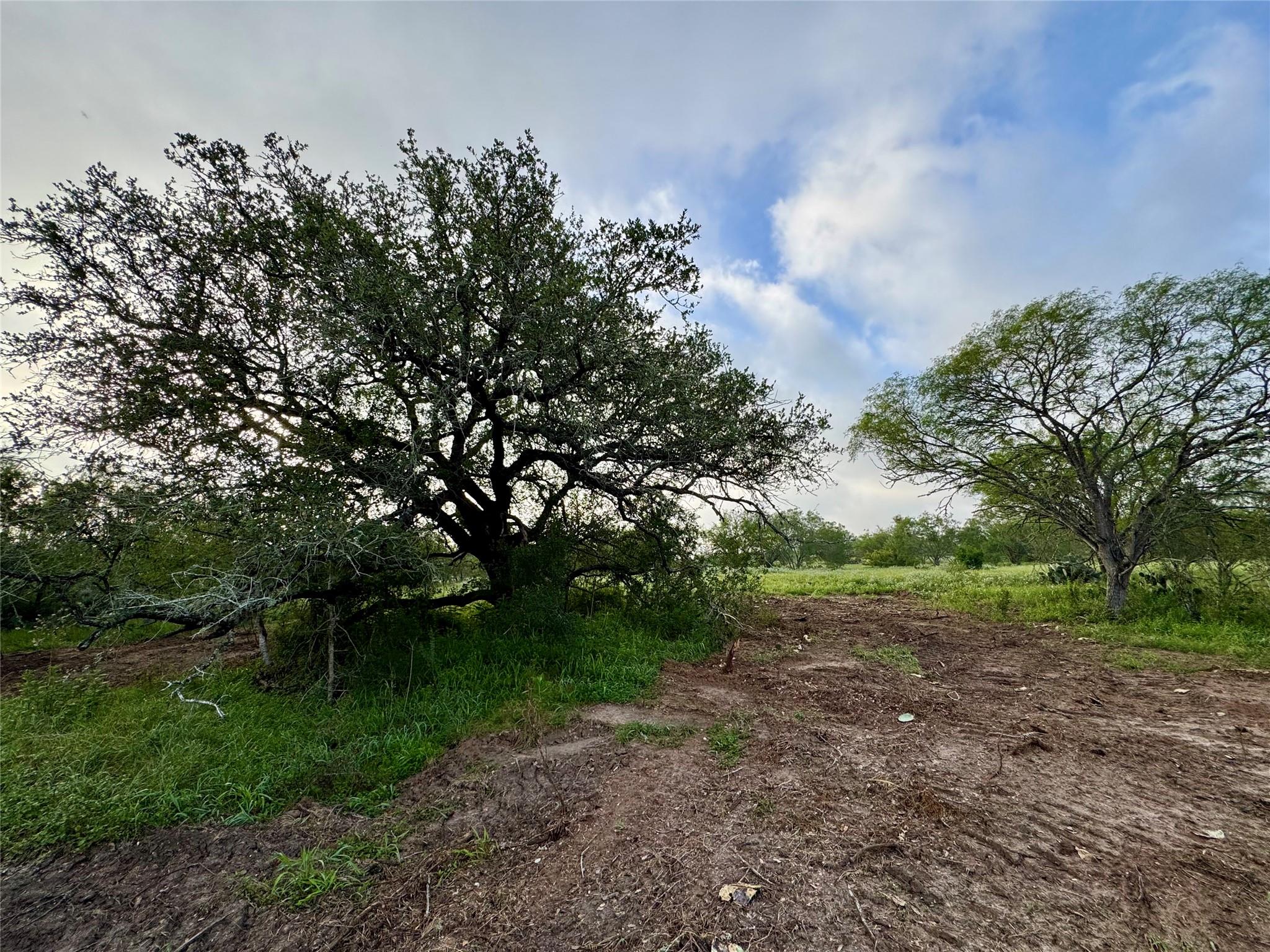 TBD CR 171, Nixon, TX 78140