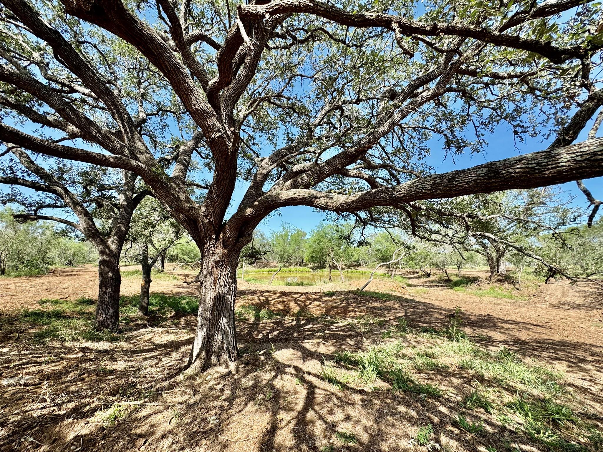 TBD CR 171, Nixon, TX 78140