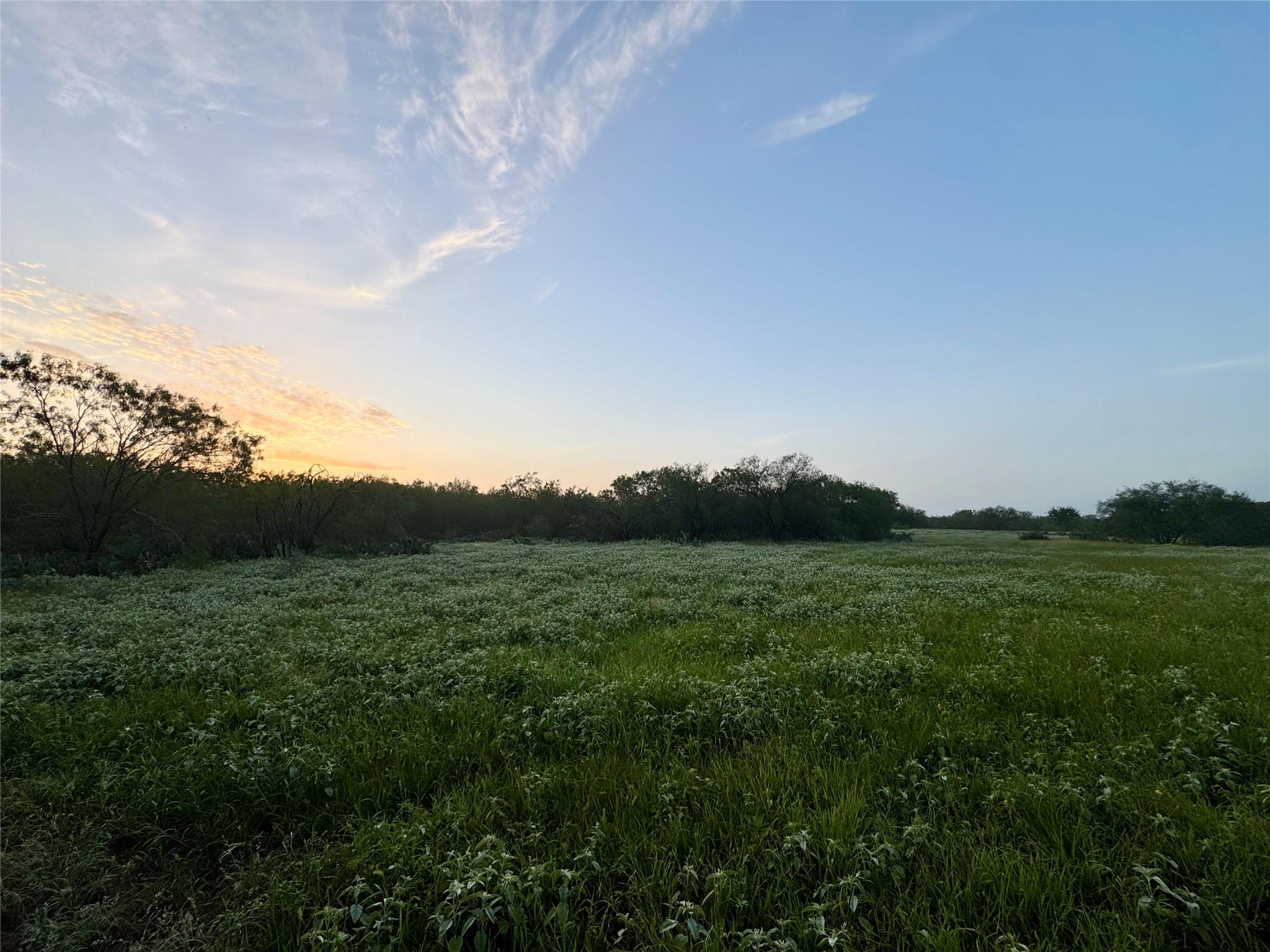 TBD CR 171, Nixon, TX 78140