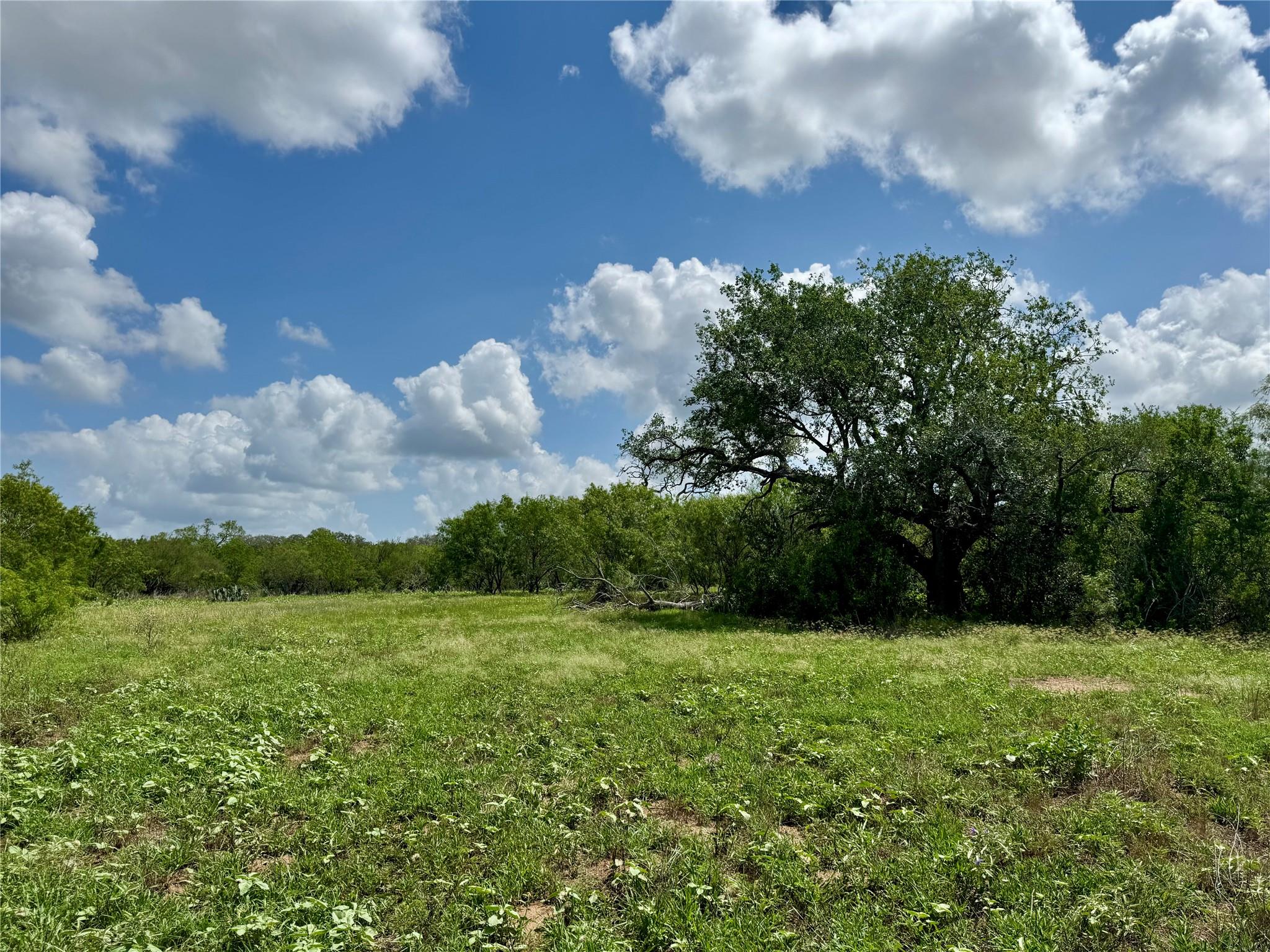 TBD CR 171, Nixon, TX 78140