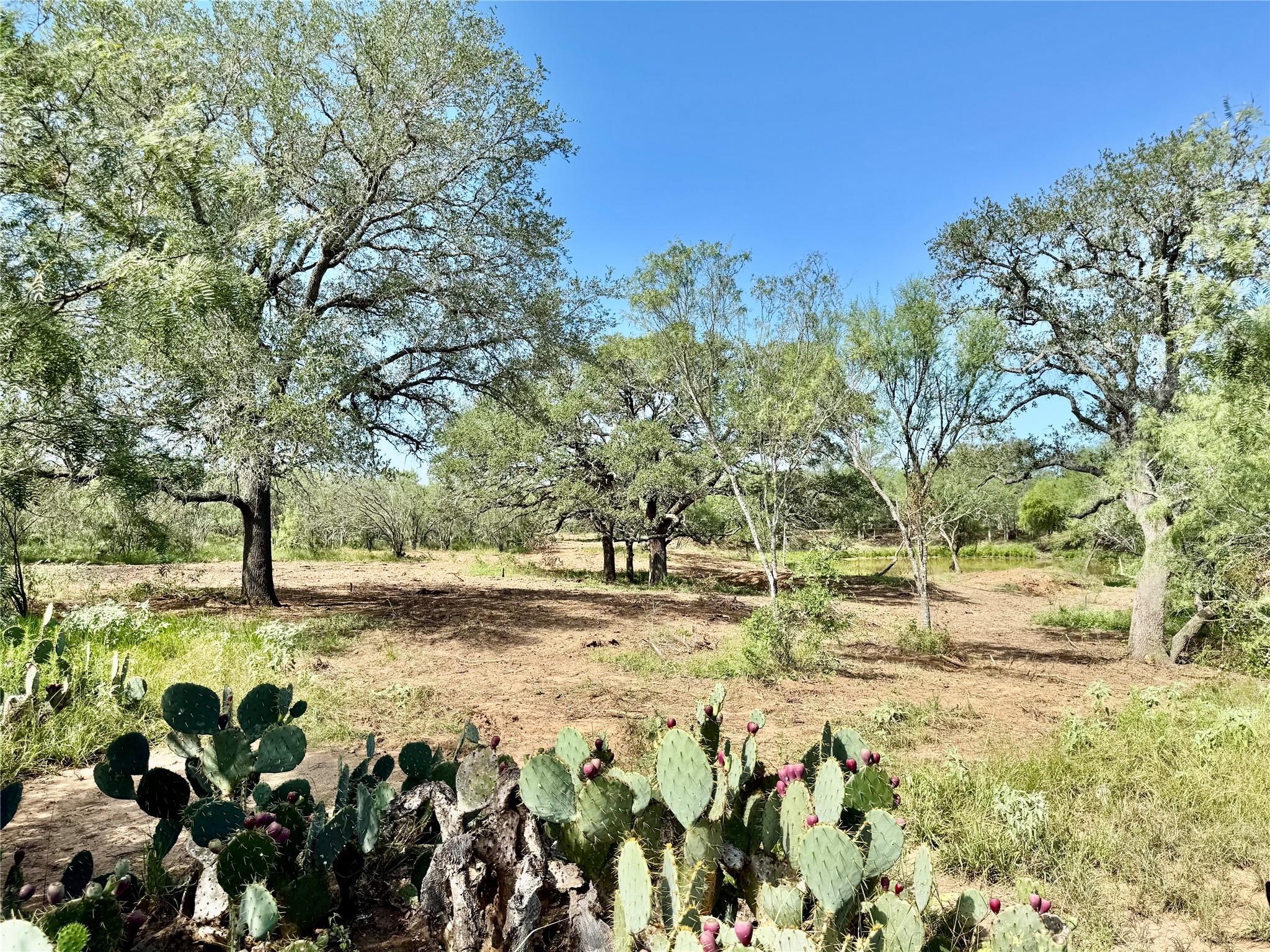 TBD CR 171, Nixon, TX 78140