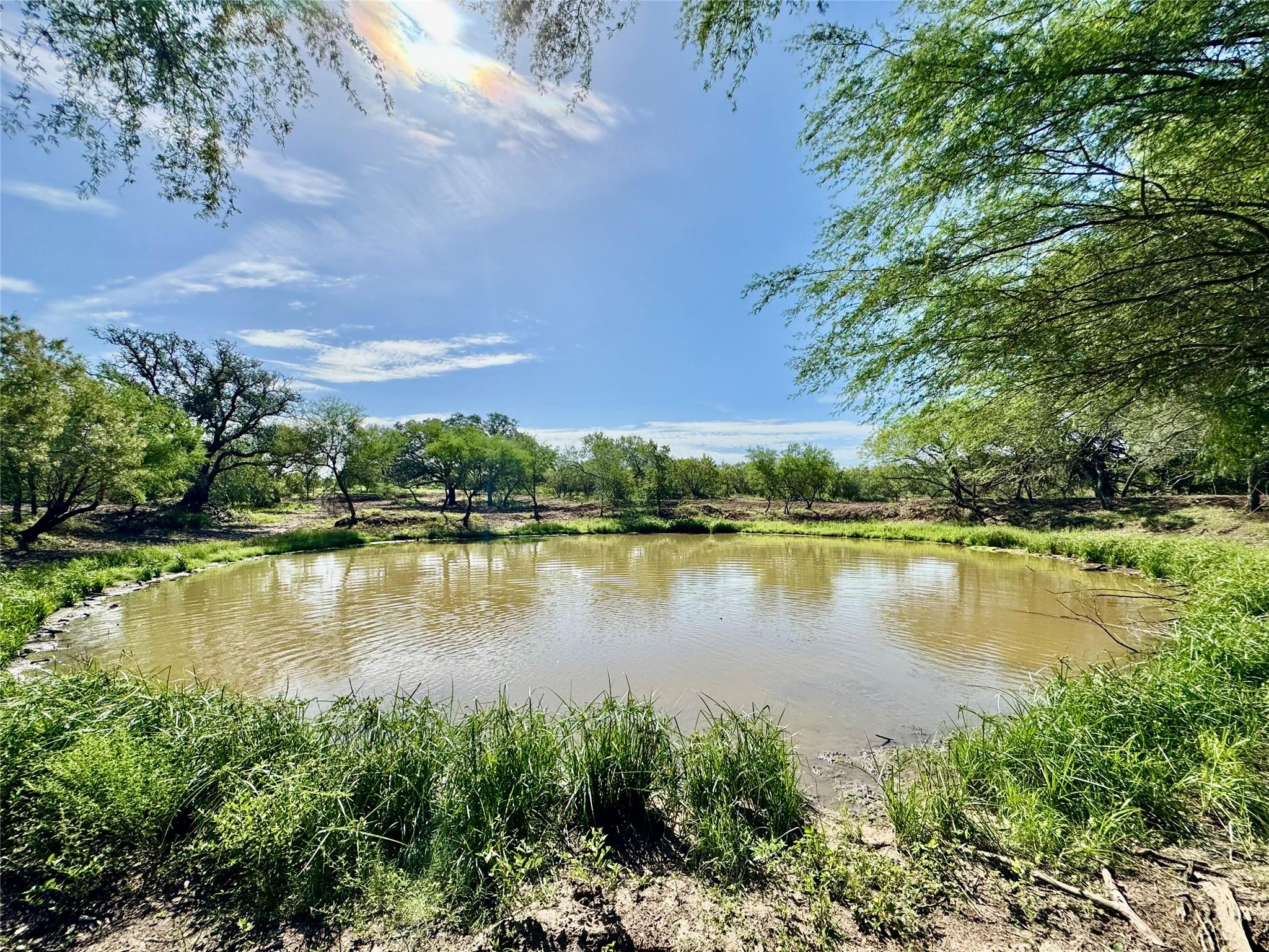 TBD CR 171, Nixon, TX 78140