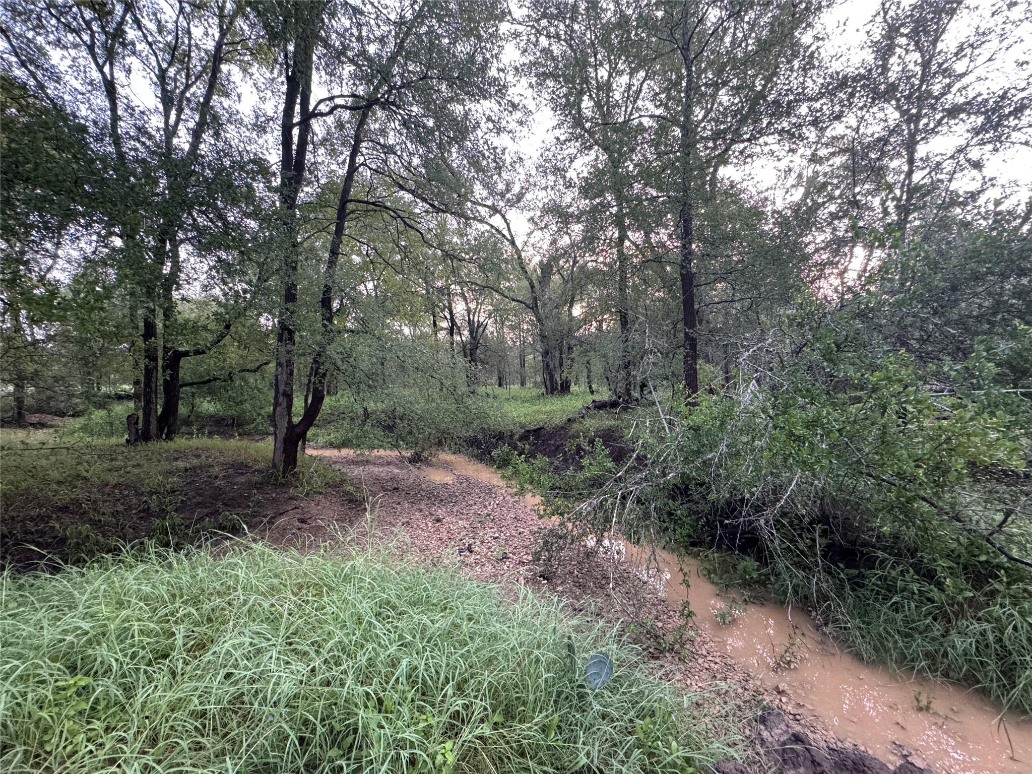 TBD CR 171, Nixon, TX 78140