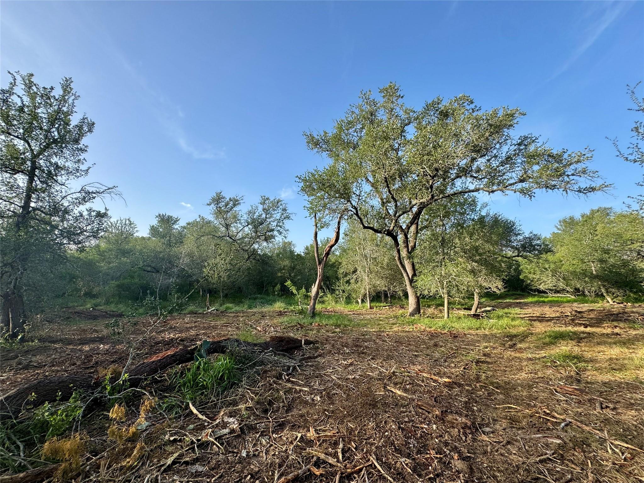 TBD CR 171, Nixon, TX 78140