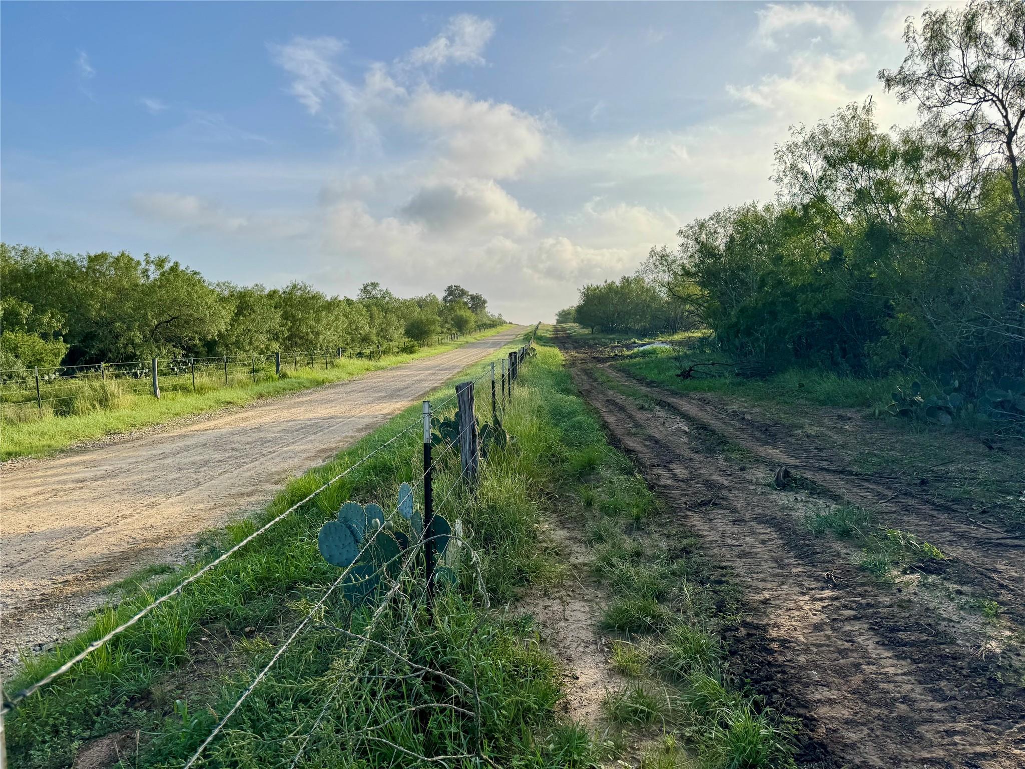 TBD CR 171, Nixon, TX 78140