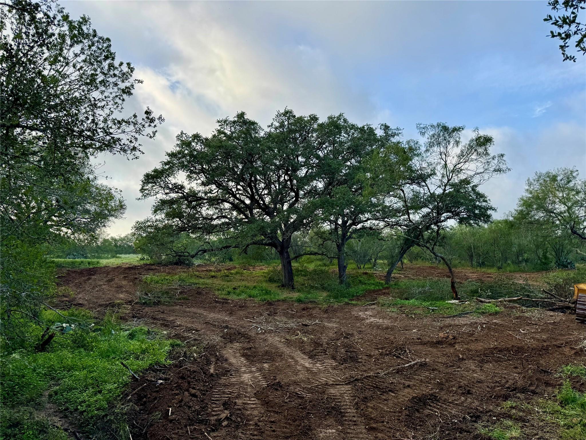 TBD CR 171, Nixon, TX 78140