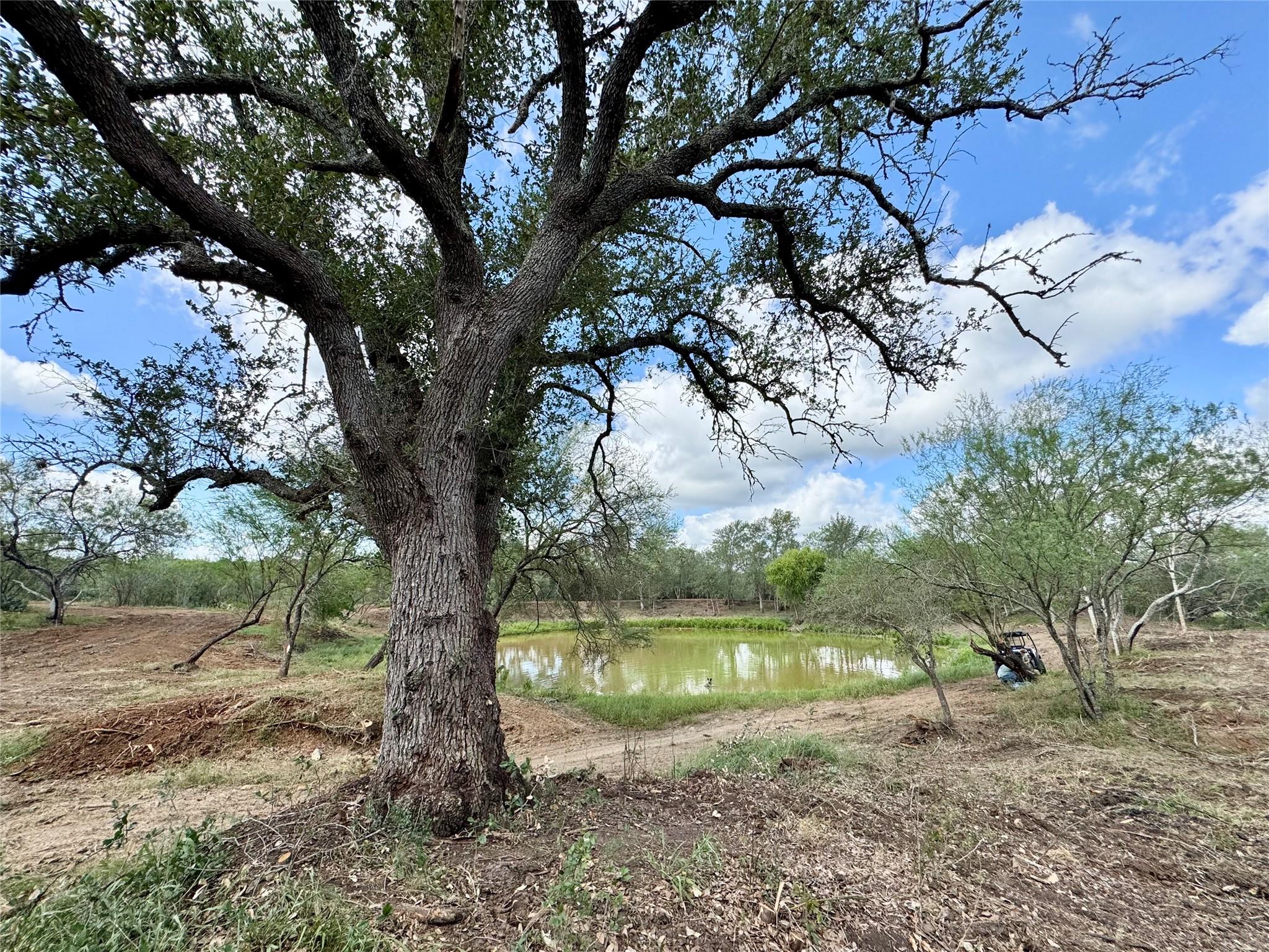 TBD CR 171, Nixon, TX 78140