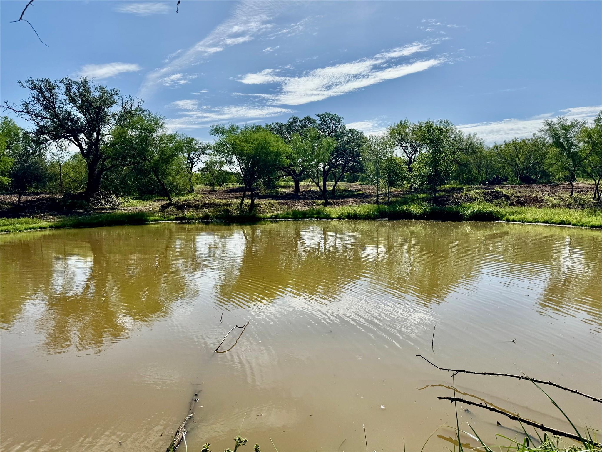 TBD CR 171, Nixon, TX 78140