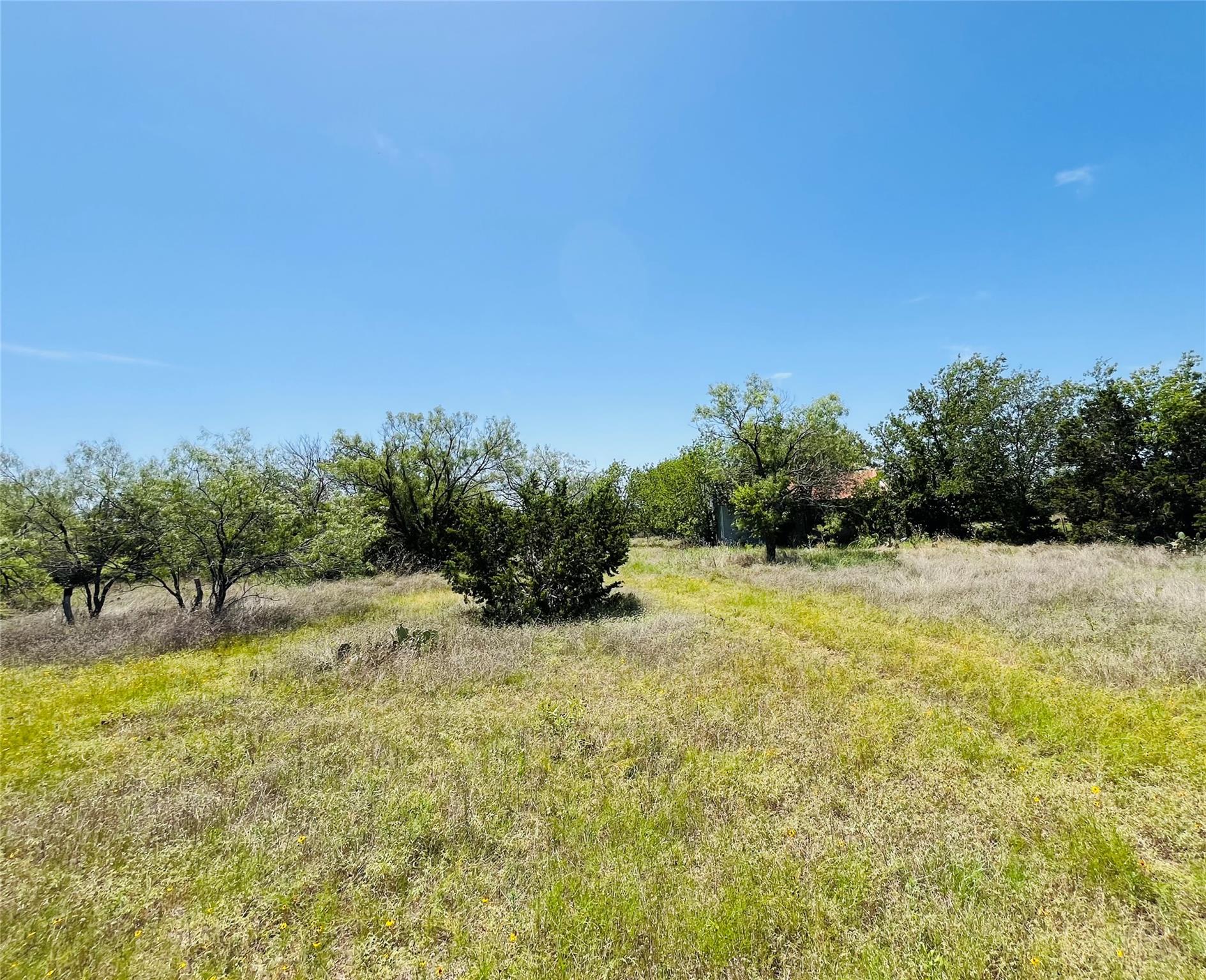 TBD FM 243, Bertram, TX 78605