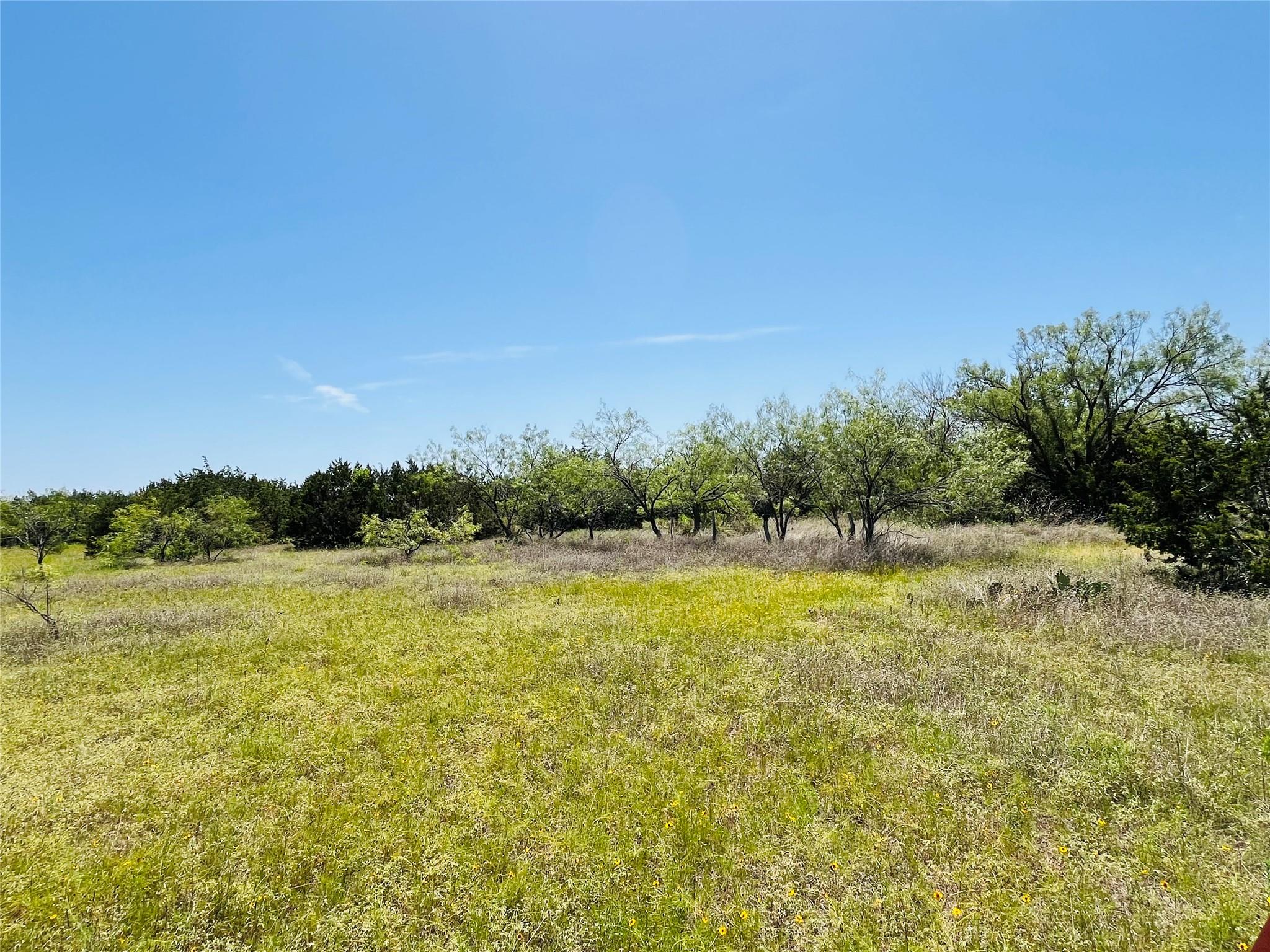 TBD FM 243, Bertram, TX 78605