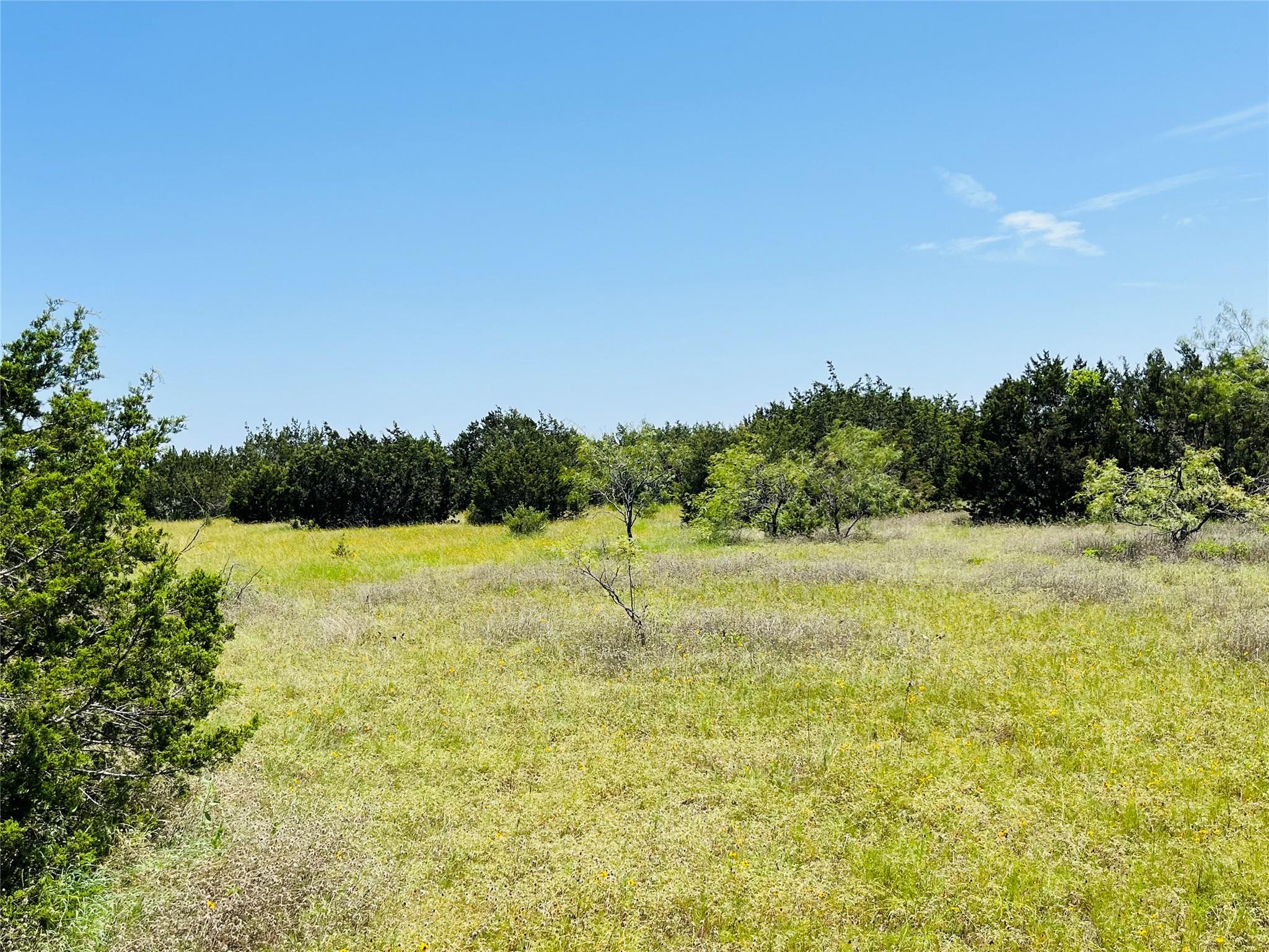 TBD FM 243, Bertram, TX 78605