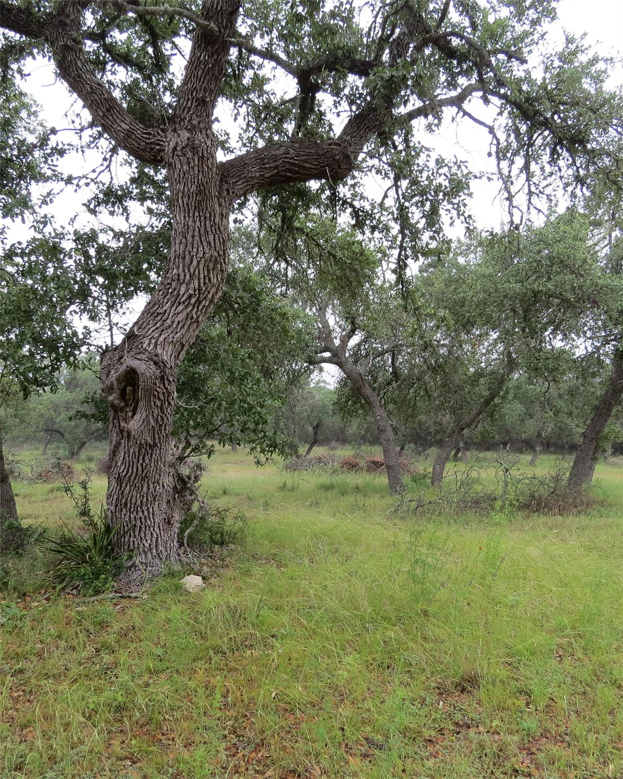 12 Pecos Dr, Wimberley, TX 78676